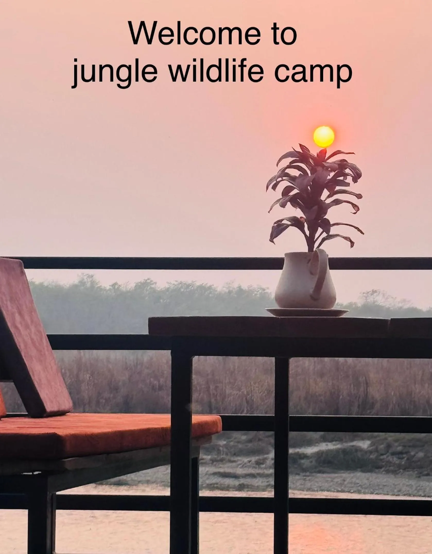 Jungle Wildlife Camp