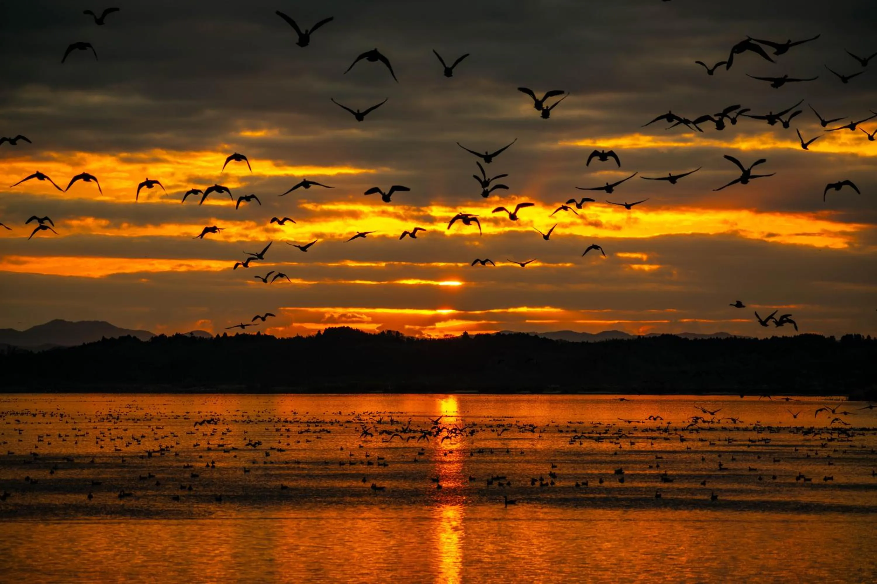 Off site in Minami Sanriku Hotel kanyo