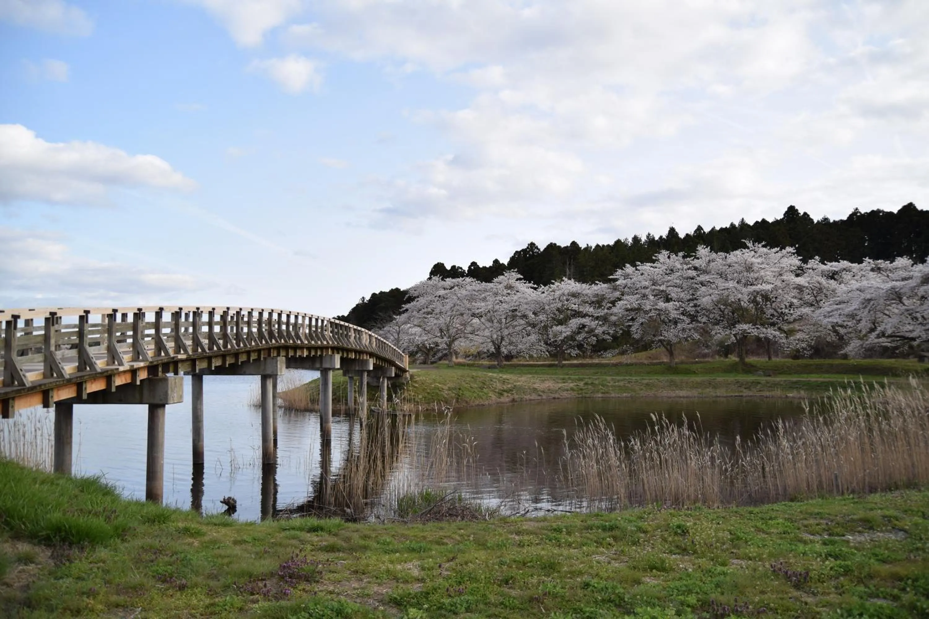 Nearby landmark in Minami Sanriku Hotel kanyo
