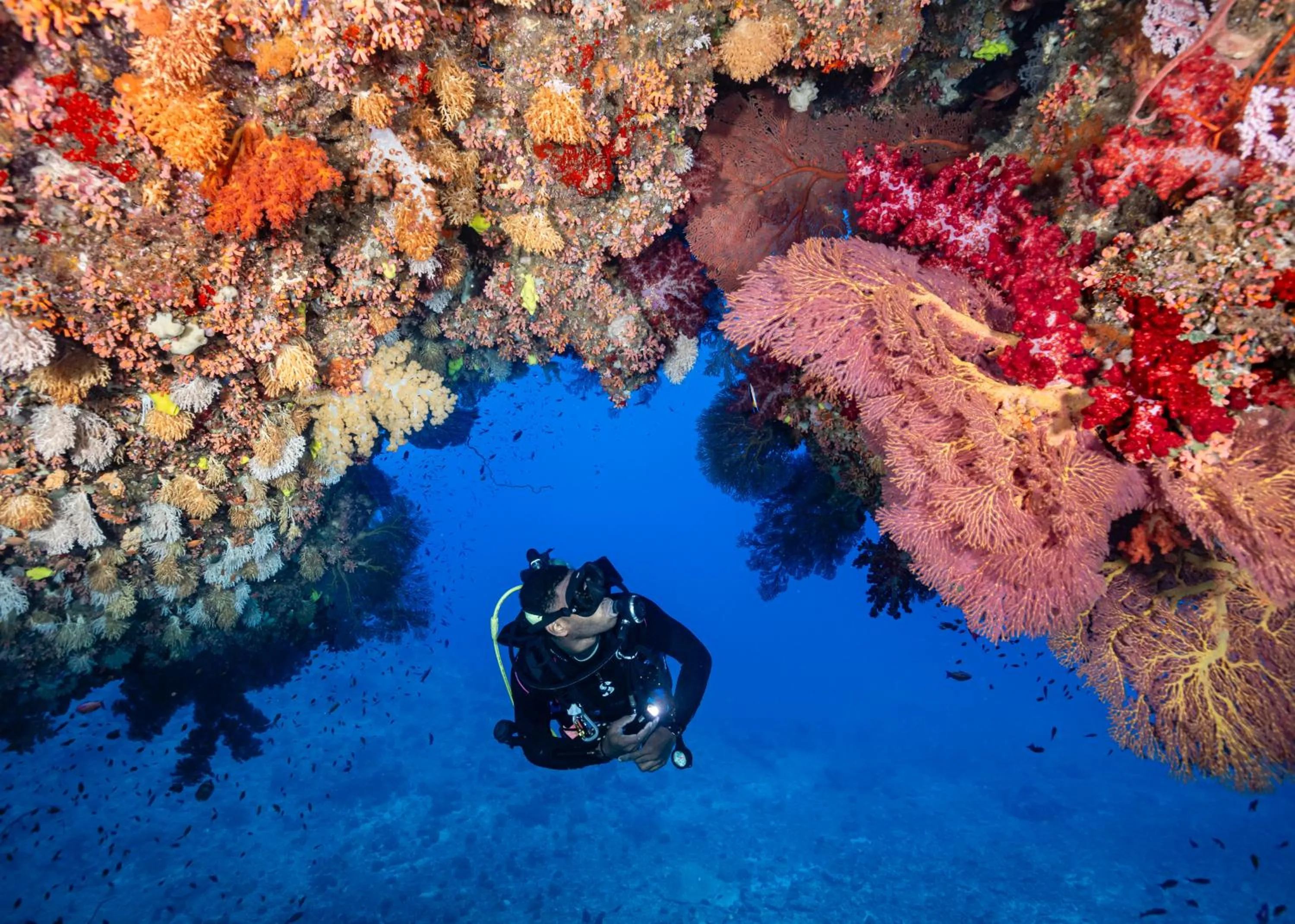 Natural landscape in Waidroka Bay Resort