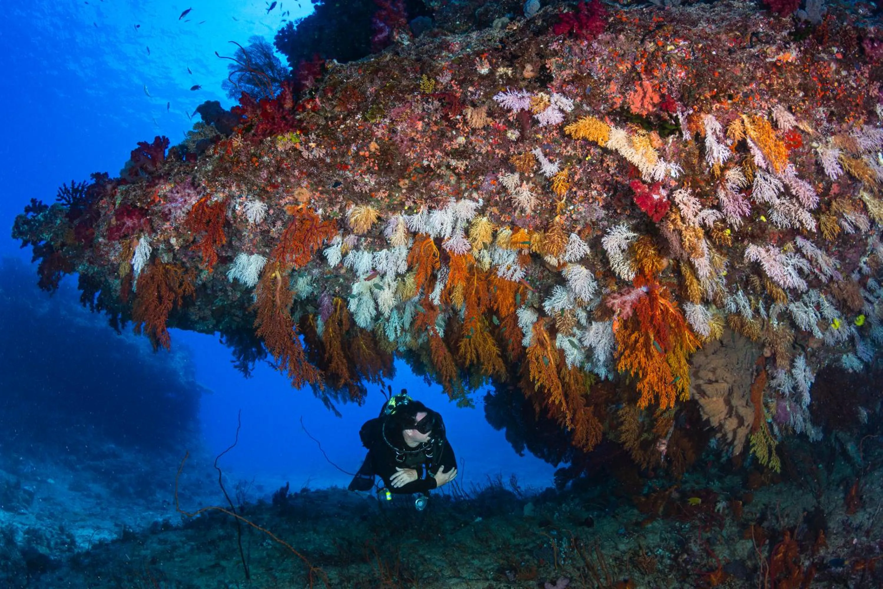 Natural landscape in Waidroka Bay Resort