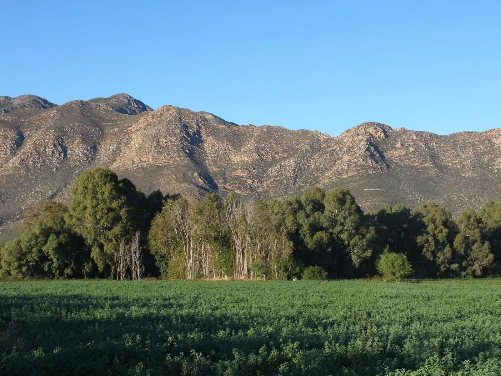 Natural landscape in The Barn On 62 - Cottages