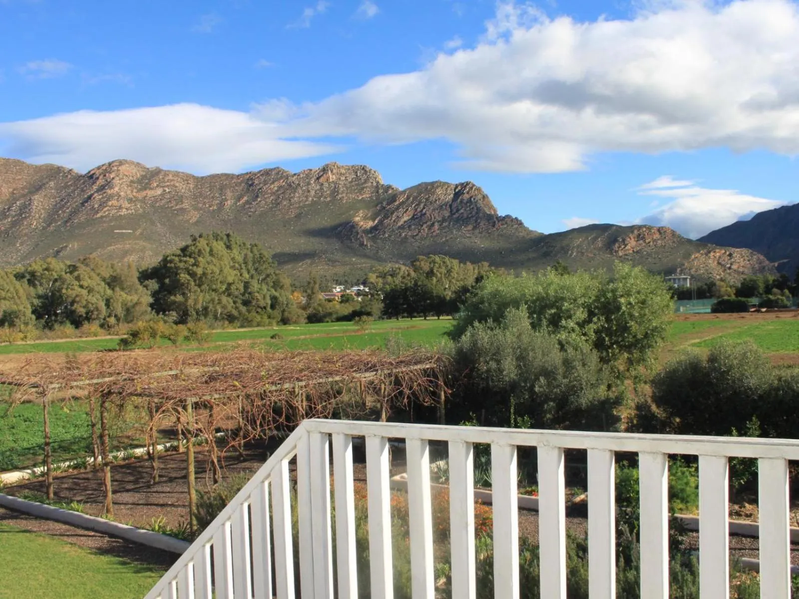 Mountain view in The Barn On 62 - Cottages