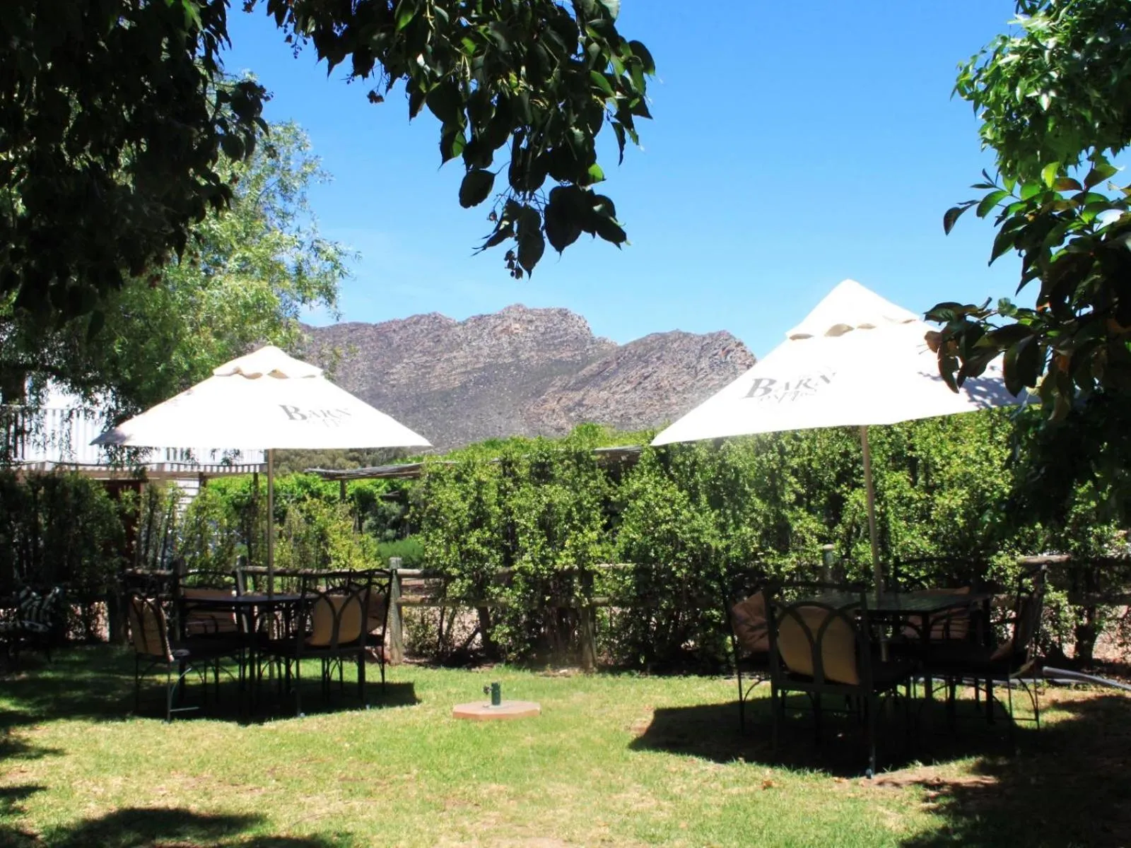 Garden in The Barn On 62 - Cottages