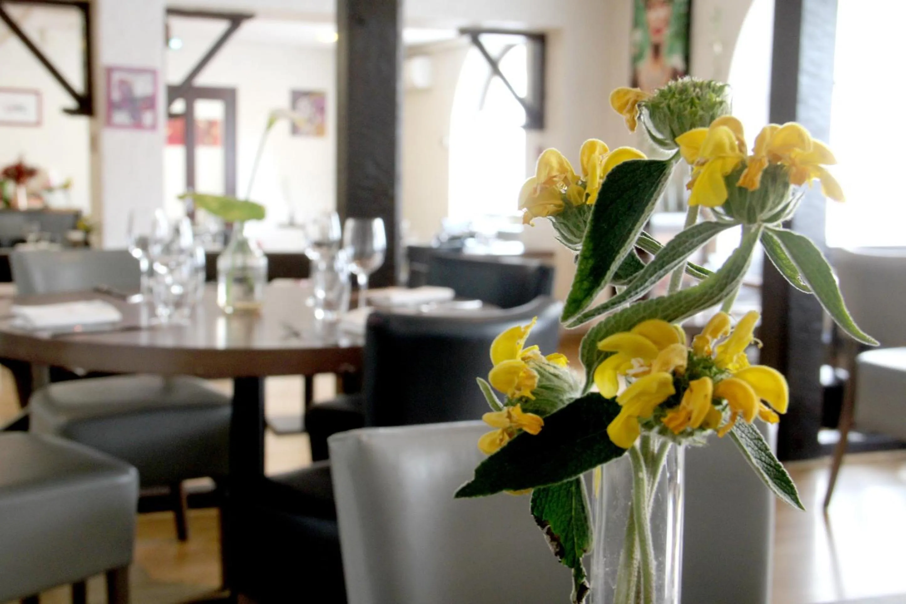Restaurant/places to eat in Logis Hôtel de France & Restaurant Pamiers