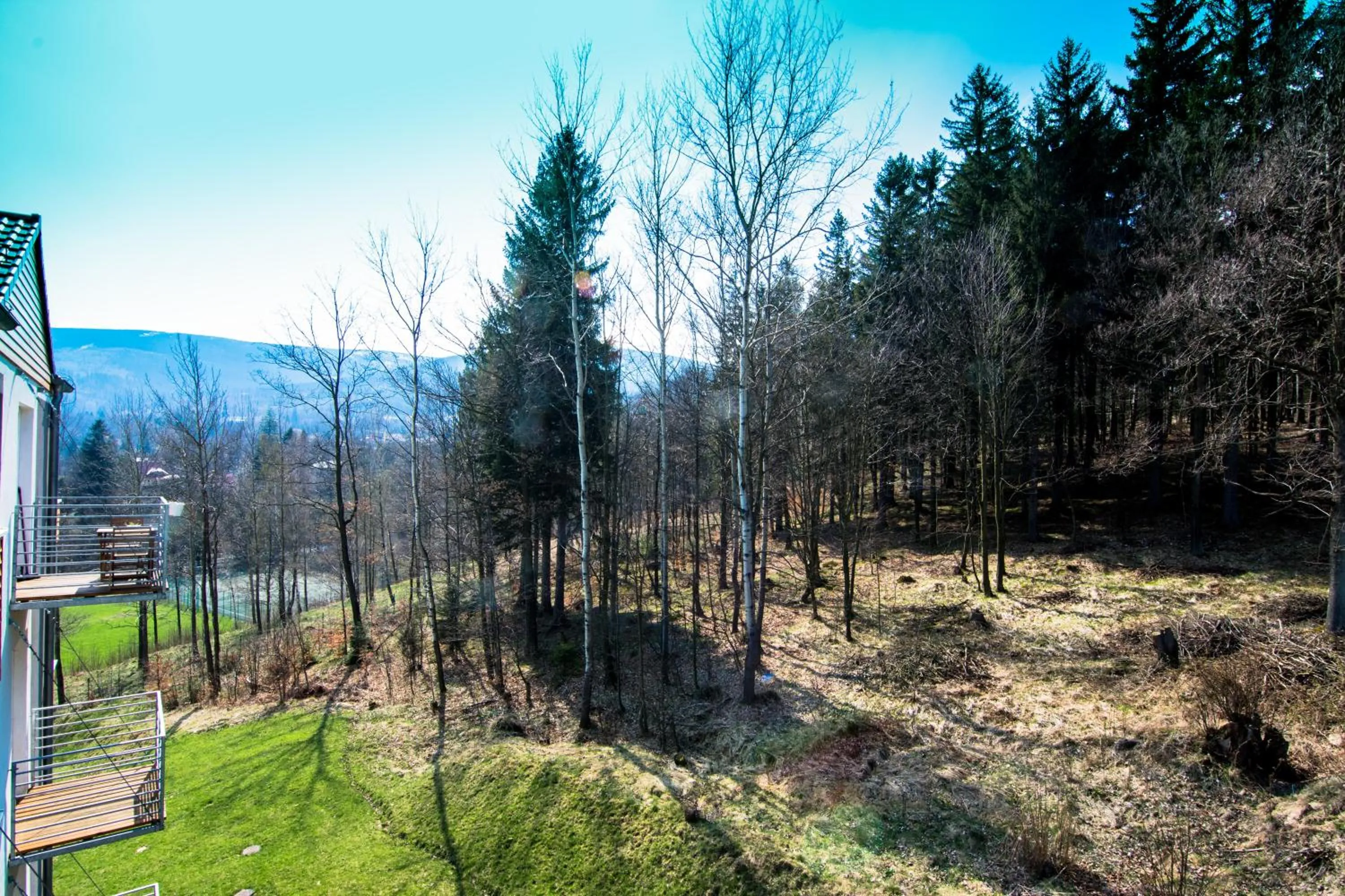 Natural landscape in Apartamenty Izerskie - ul. Cicha 13D-E