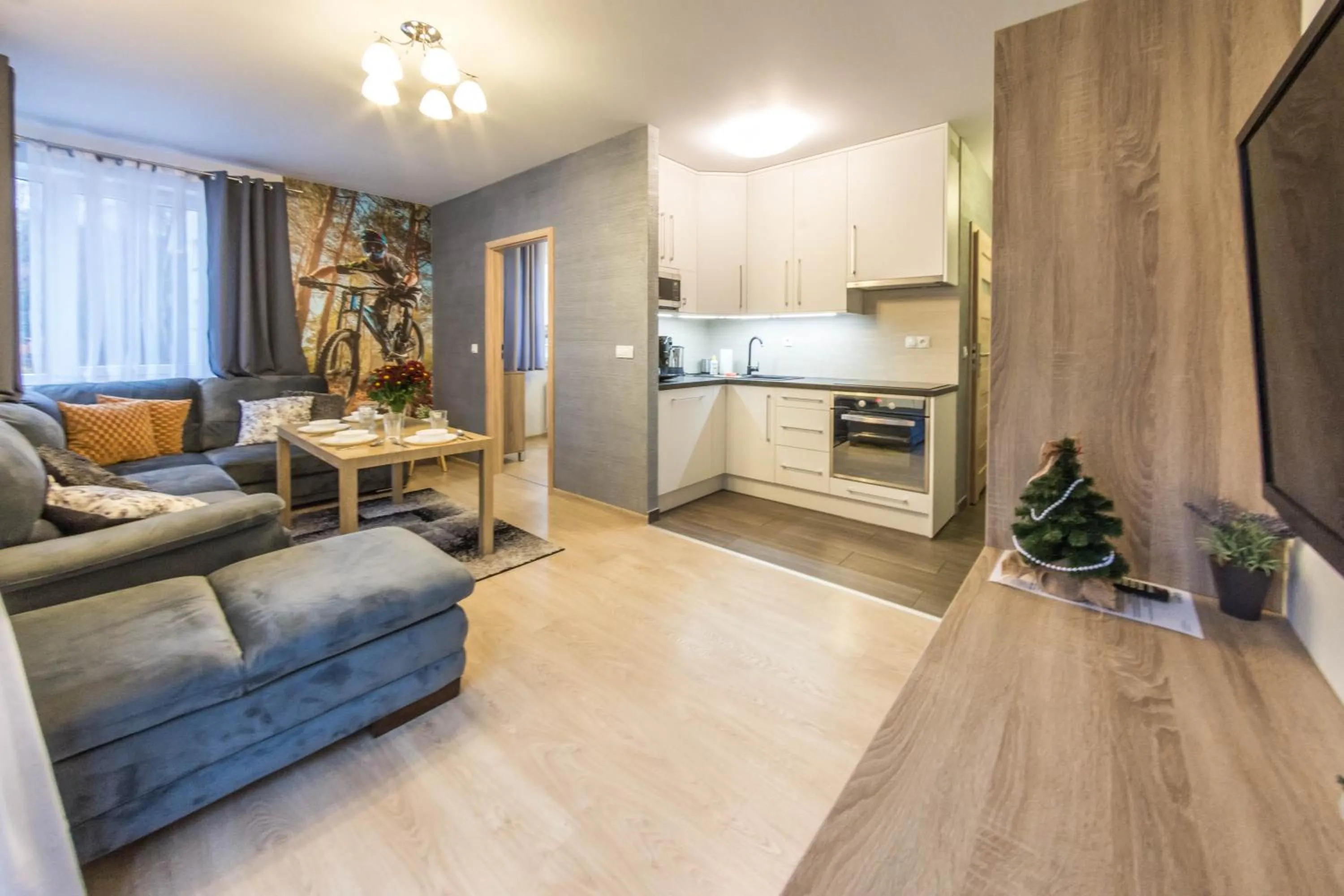 TV and multimedia in Apartamenty Izerskie - ul. Cicha 13D-E