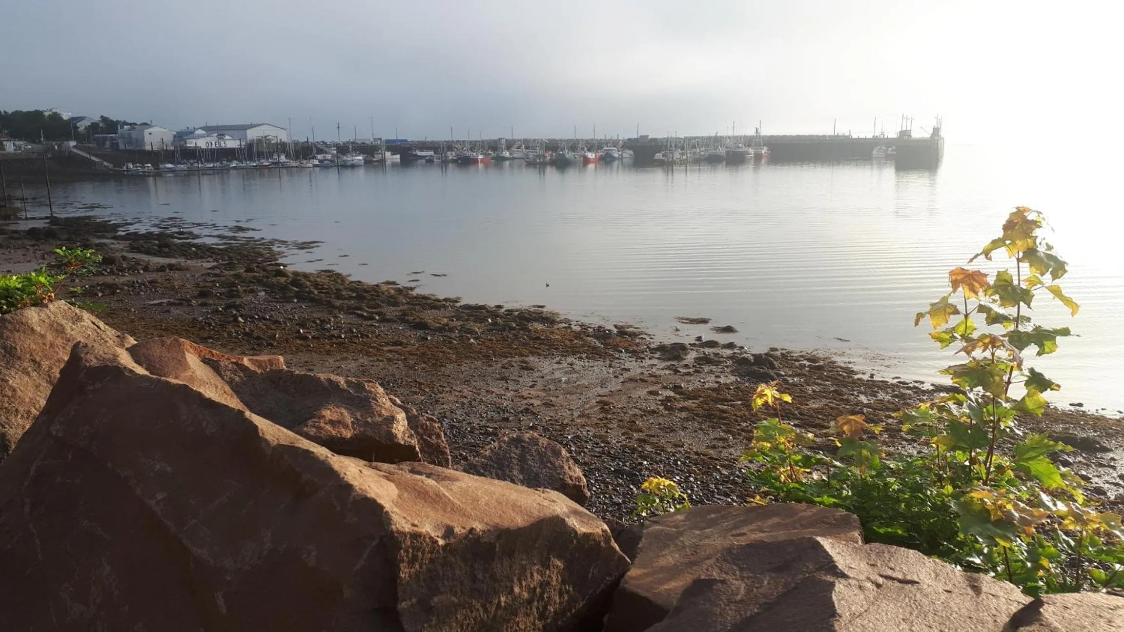 Hillside Landing B&B