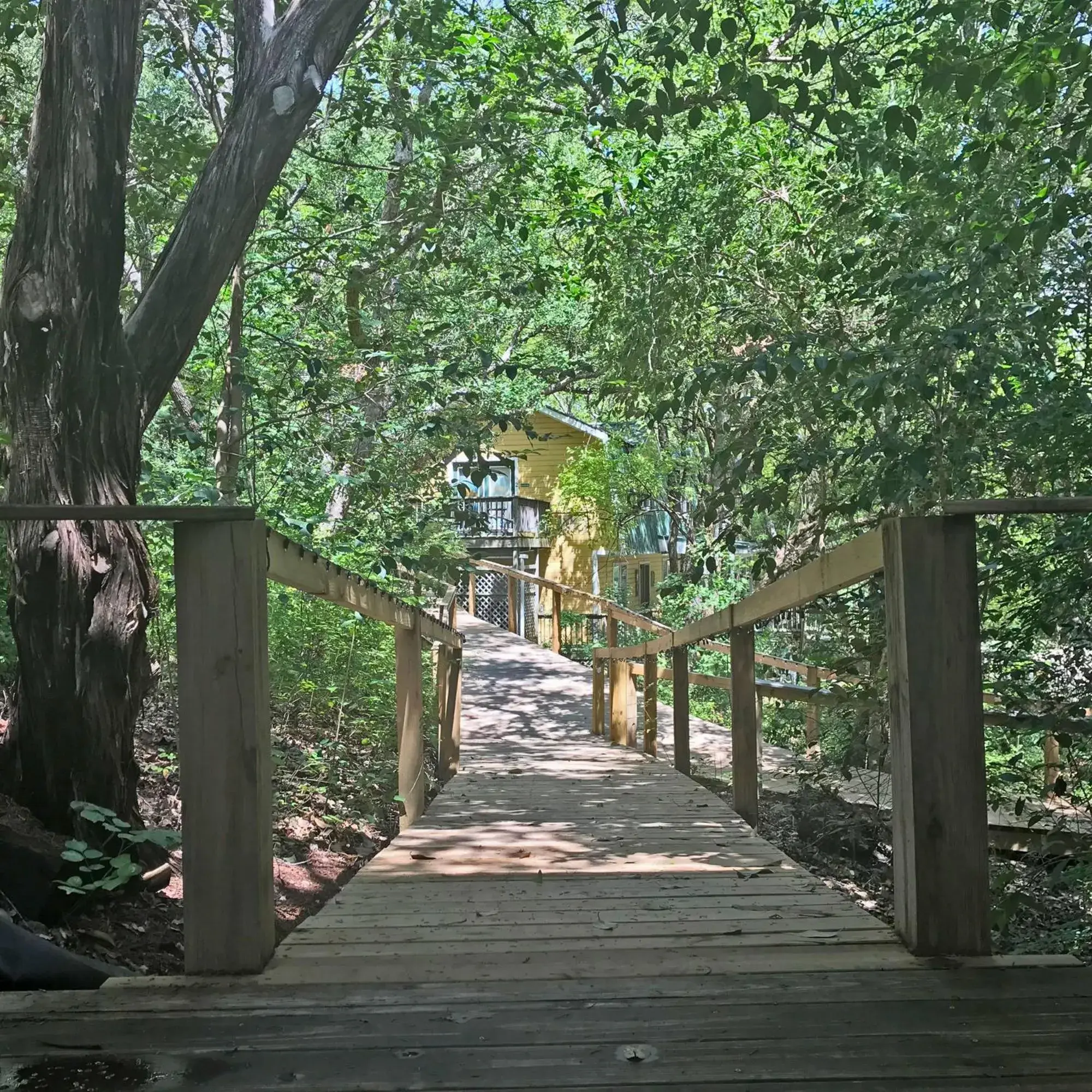 Deluxe King Room in Bed and Breakfast on White Rock Creek Deluxe King Room in Bed and Breakfast on White Rock Creek