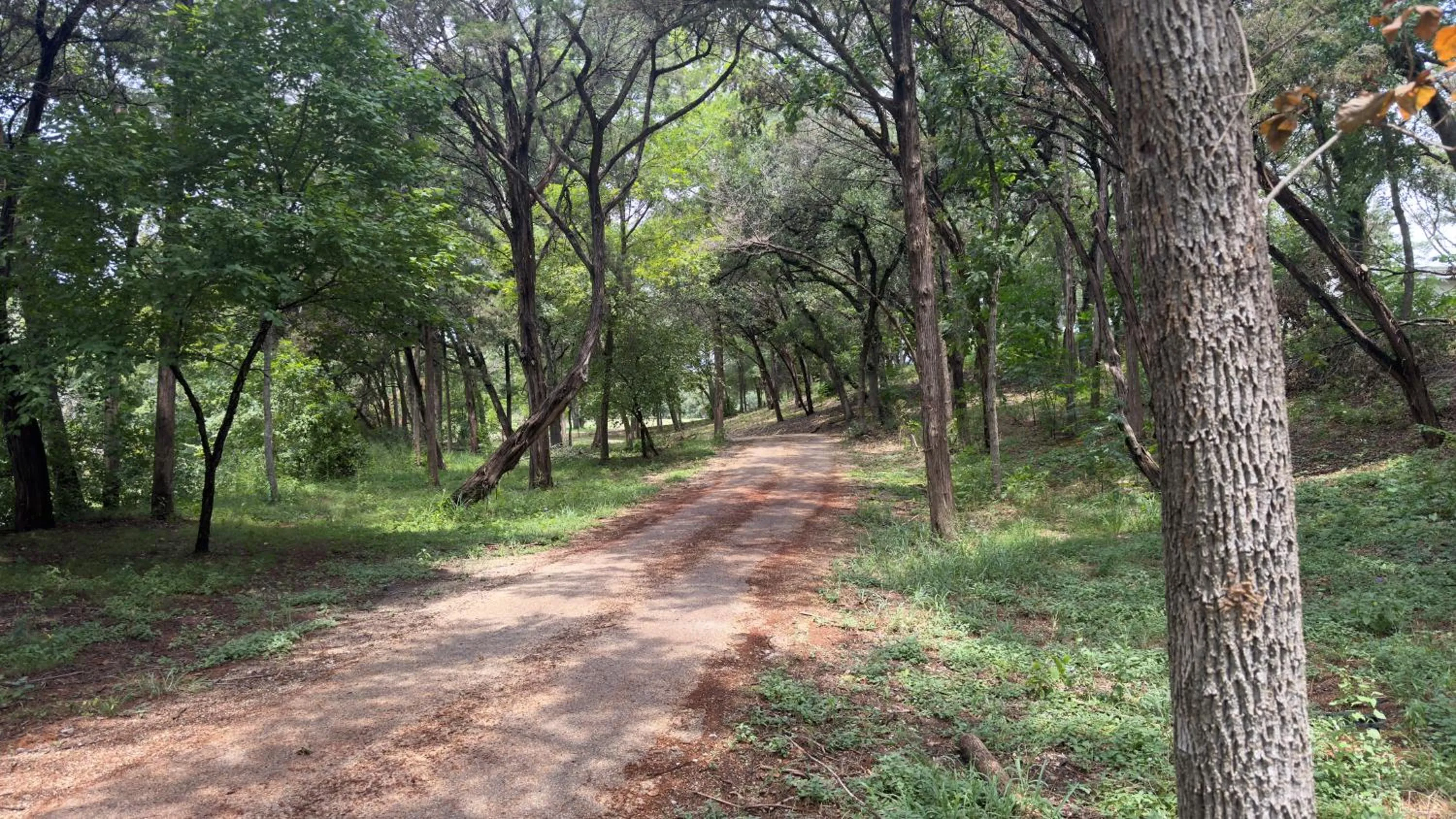 Property building in Bed and Breakfast on White Rock Creek