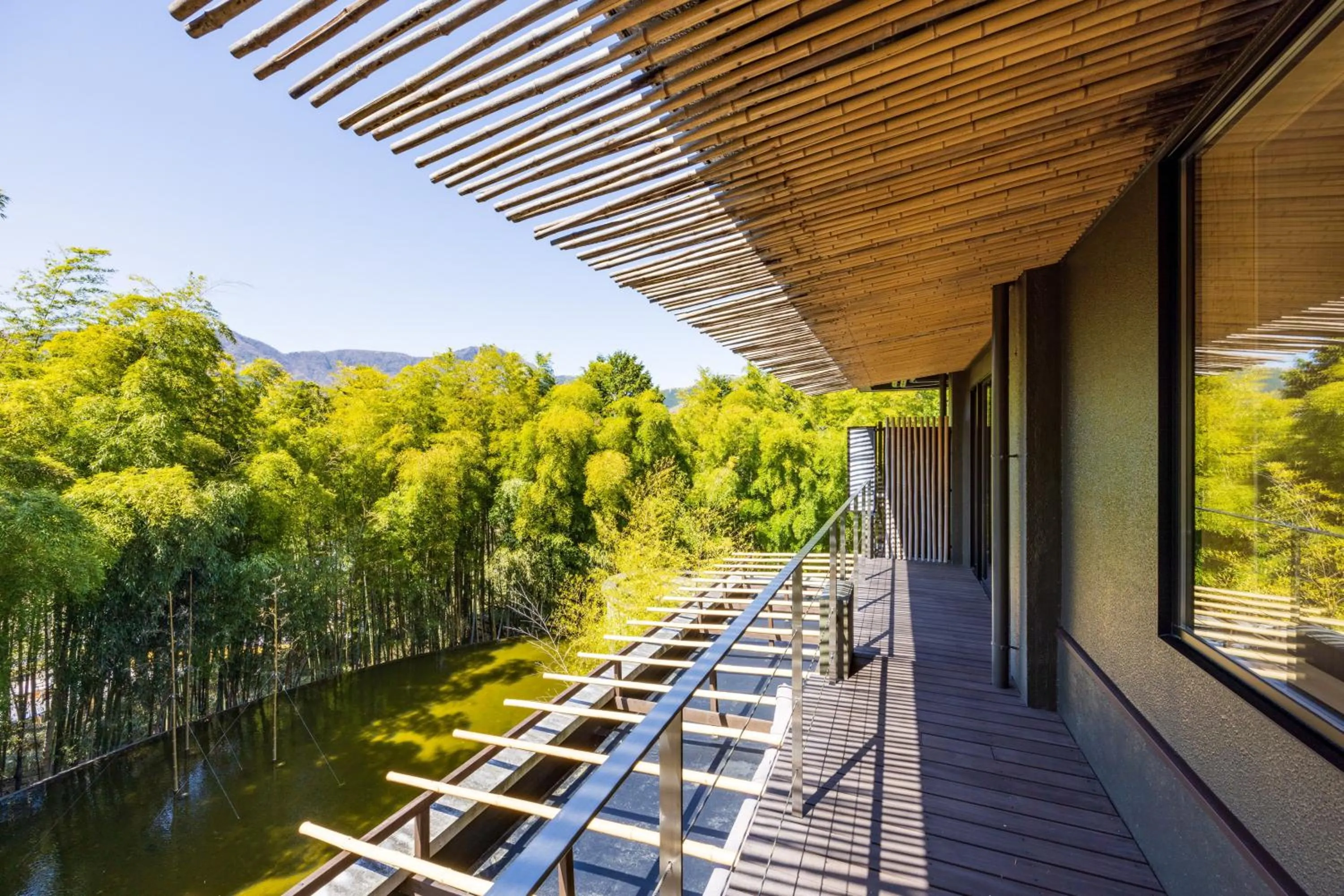 Natural landscape in Kinnotake Sengokuhara(Adult Only)