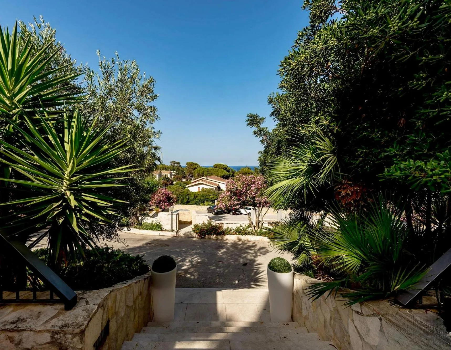 Natural landscape in Hotel Panoramic