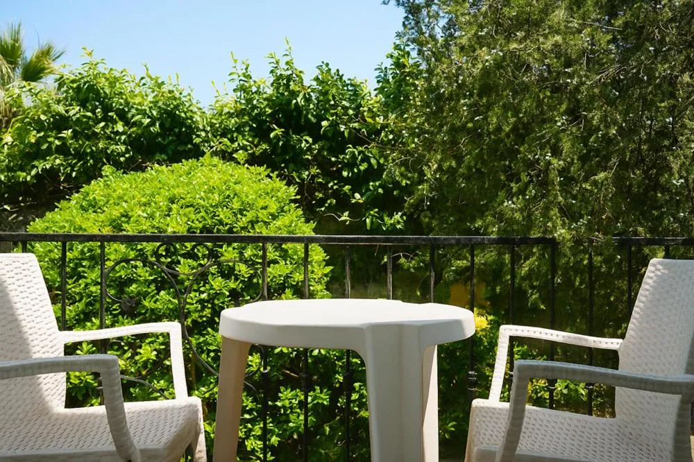 Balcony/Terrace in Hotel Terme Principe