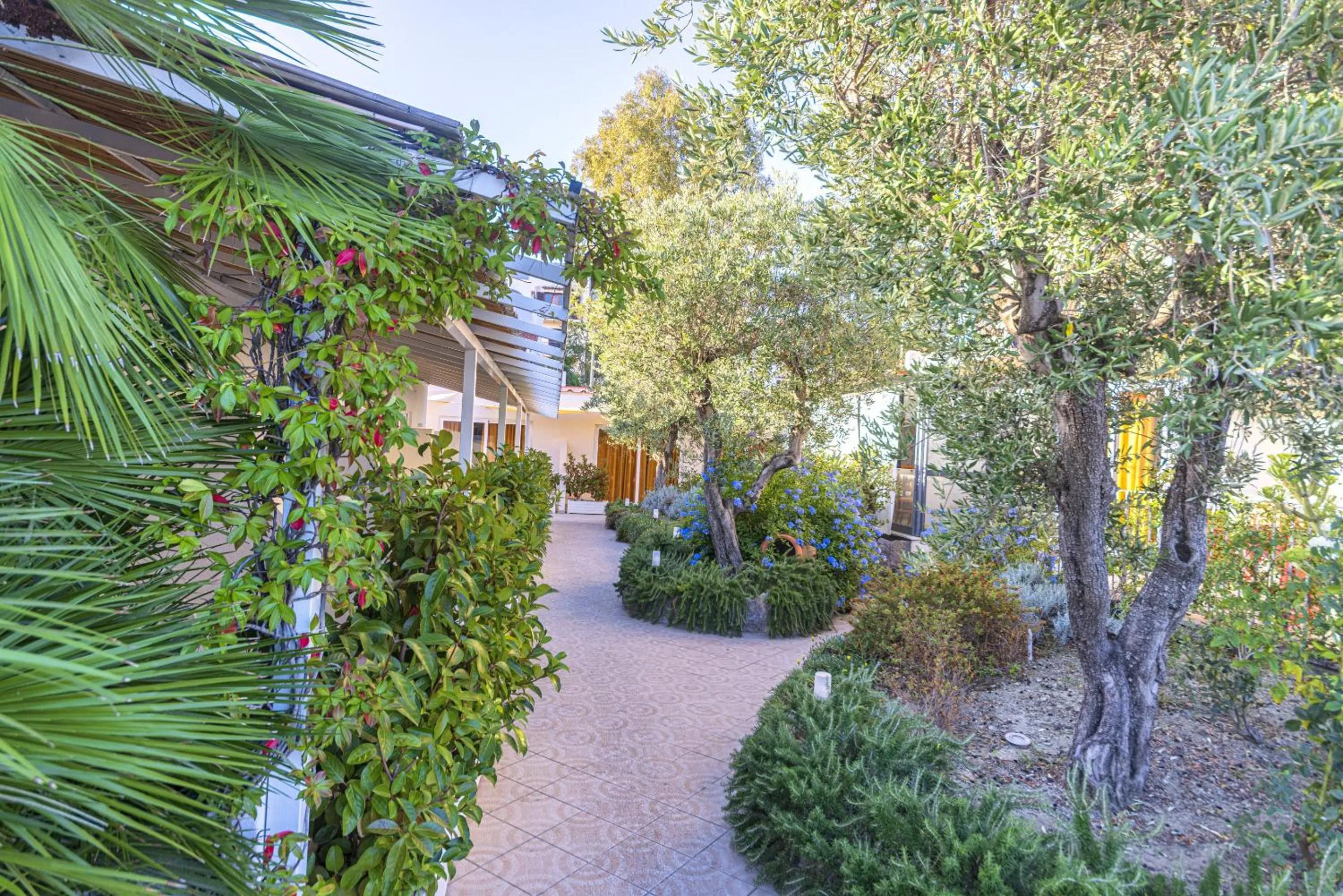 Garden in Hotel Terme Principe