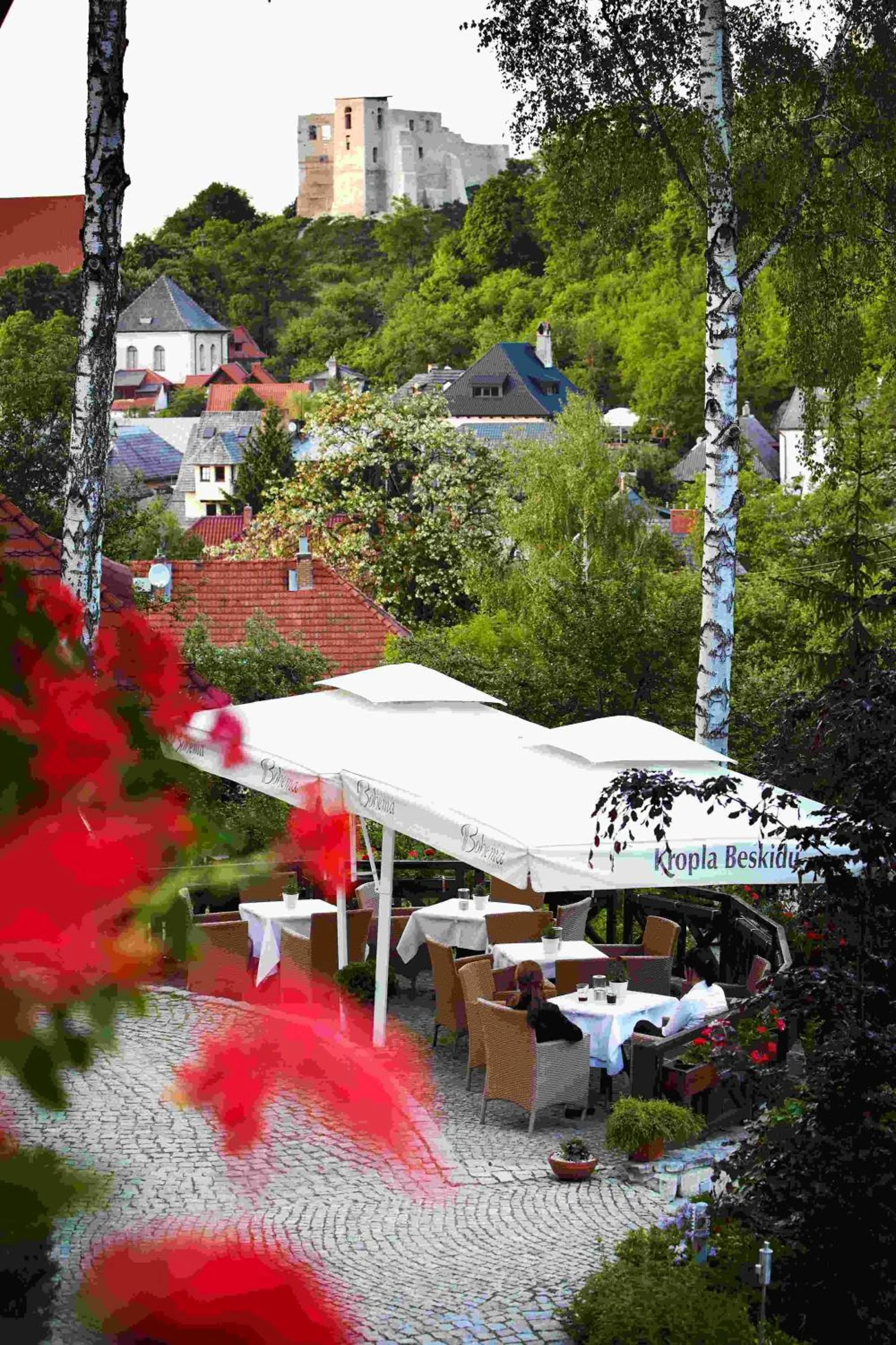 Restaurant/places to eat in Hotel Villa Bohema