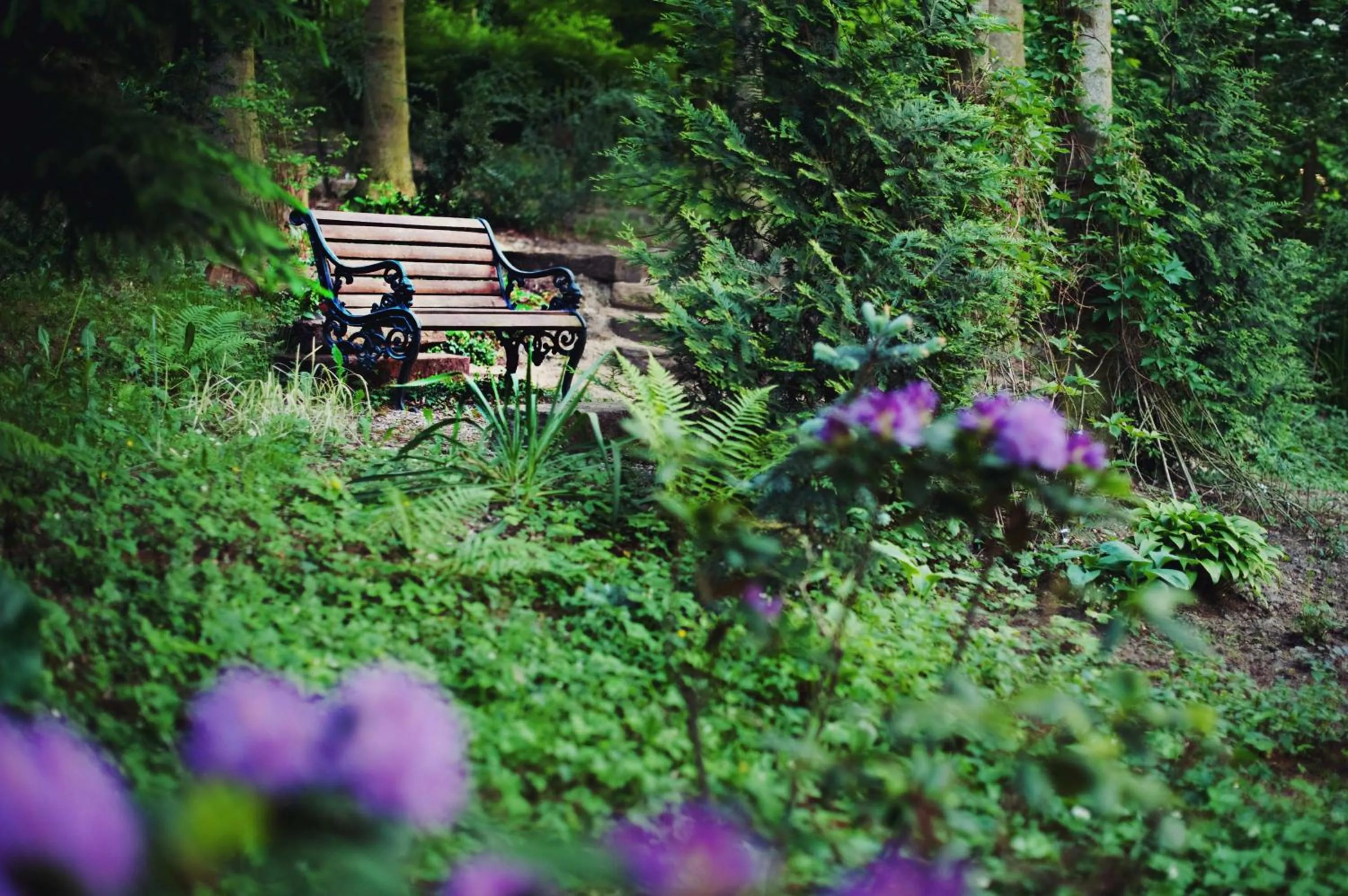 Garden in Hotel Villa Bohema