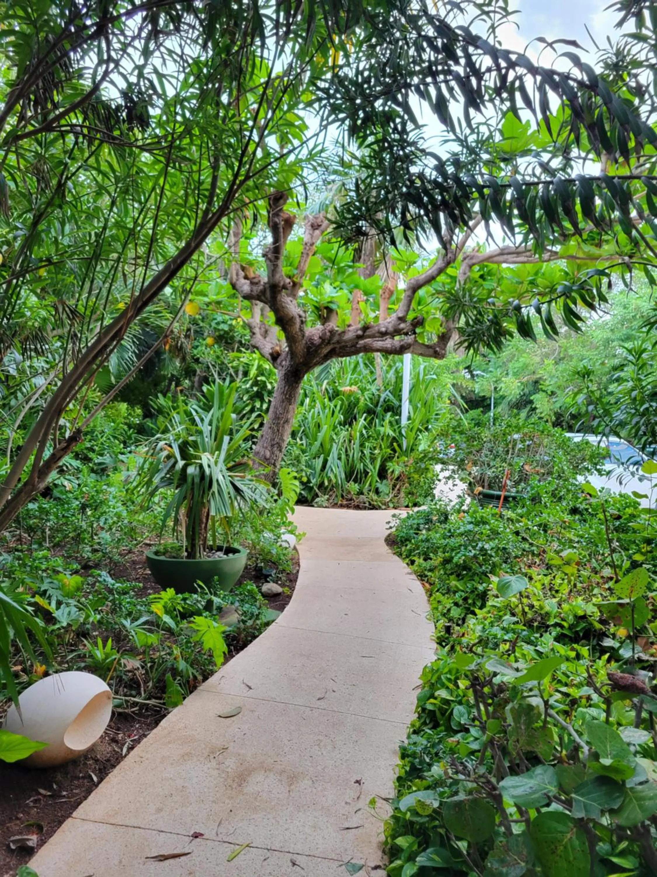 Garden in Beachfront Getaway Condo