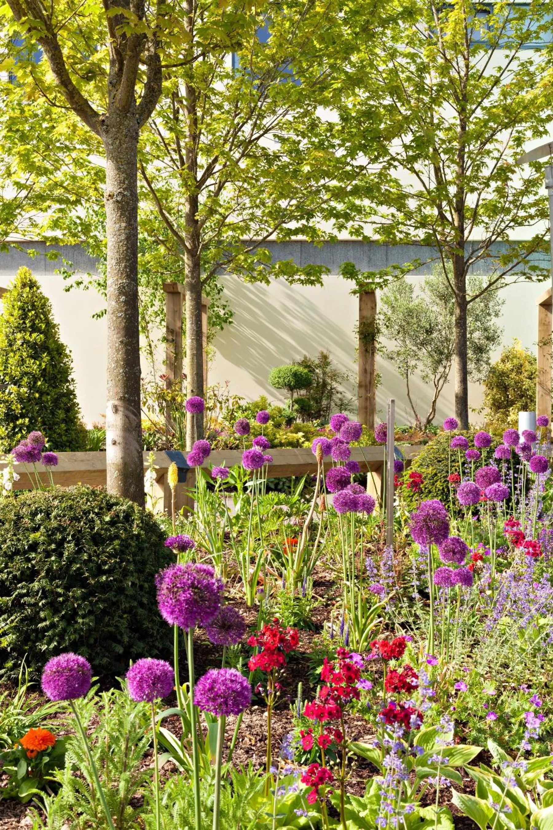 Garden in Fota Island Hotel and Spa