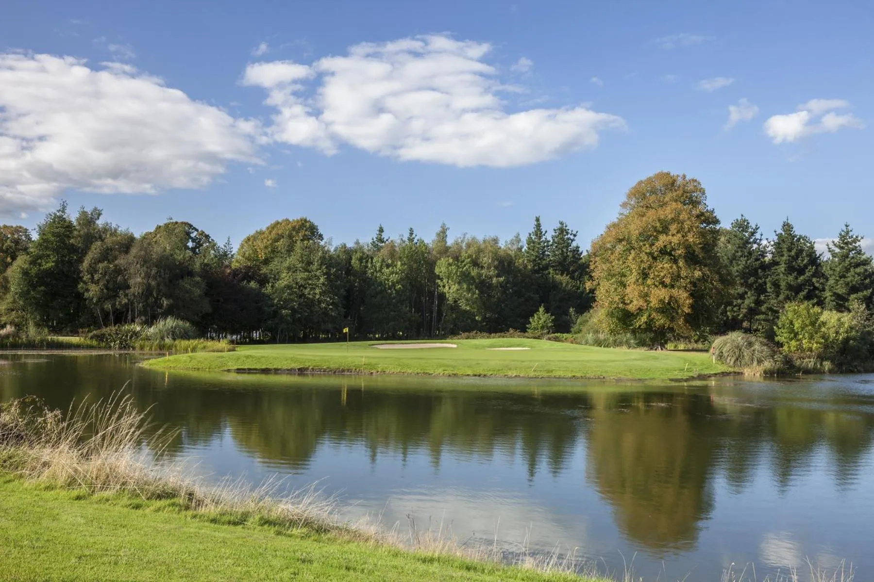 Natural landscape in Fota Island Hotel and Spa