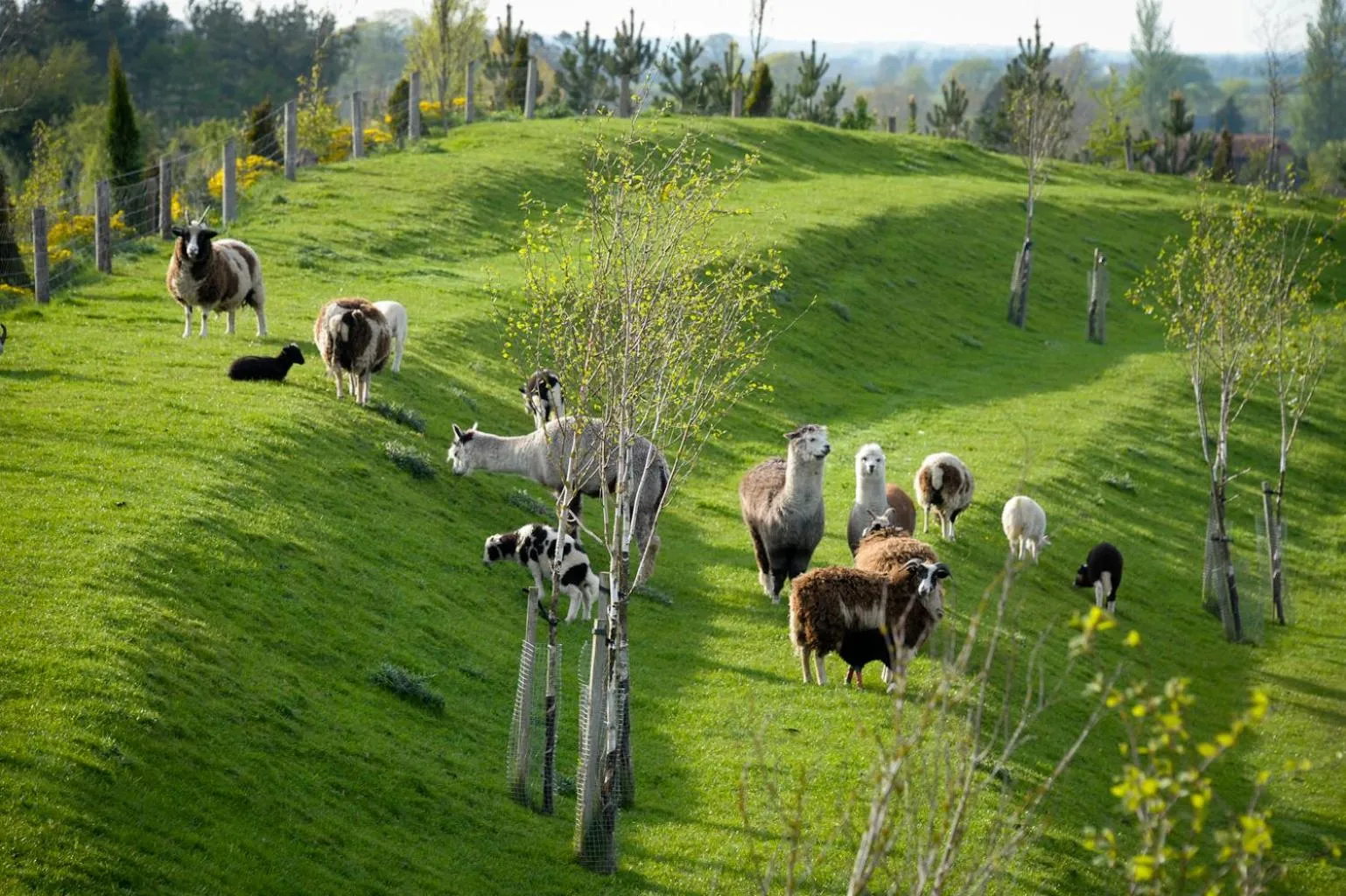 Other in Clanard Court Hotel