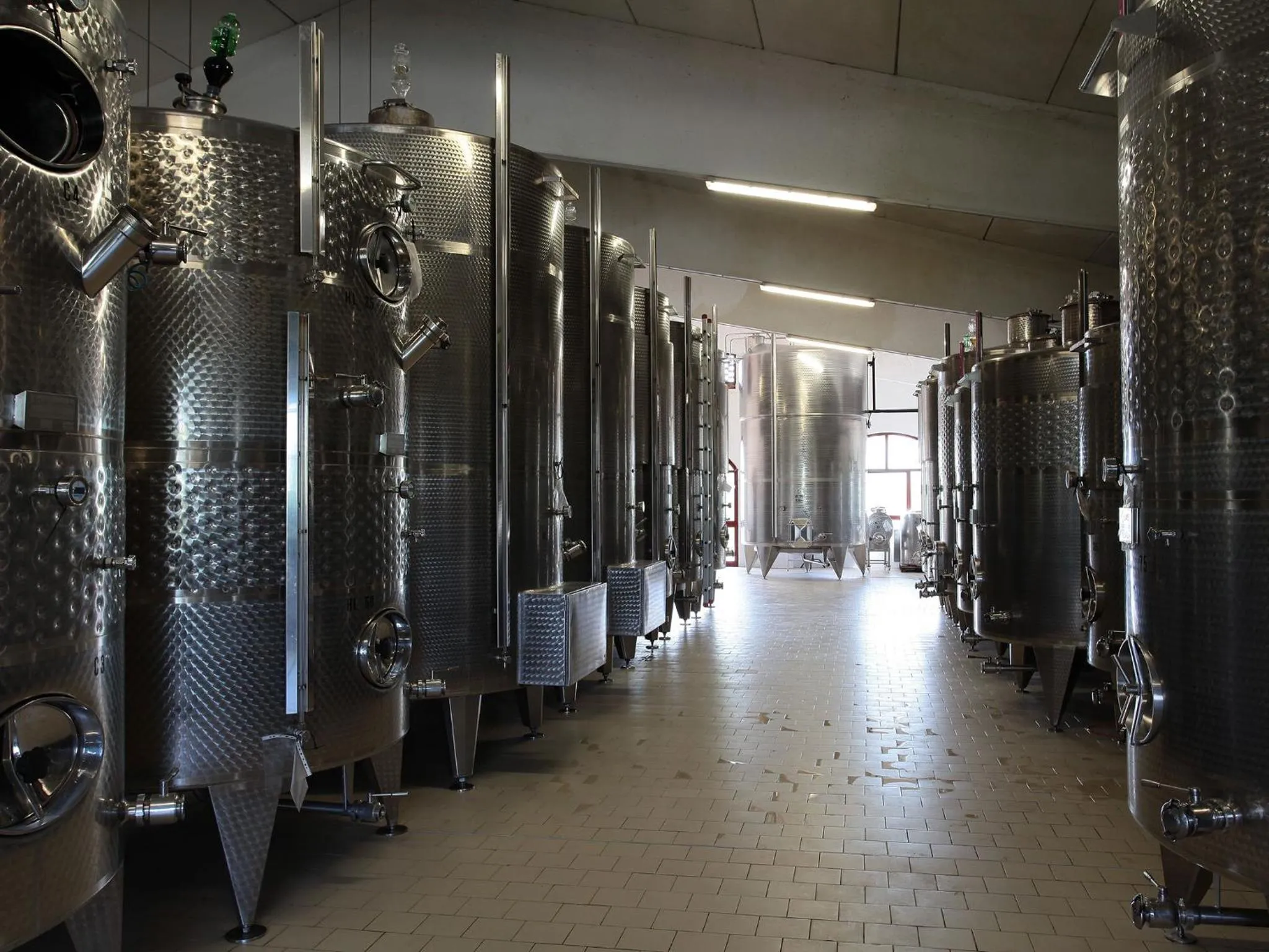 Activities in Mormoraia