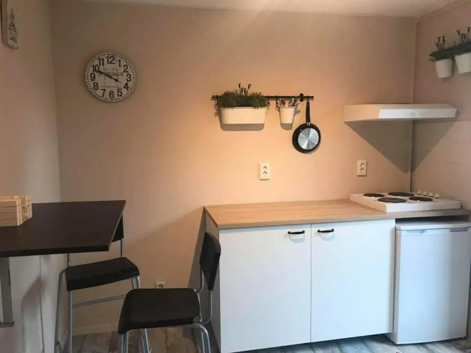 Kitchen or kitchenette in B&B Het Onderduukertje