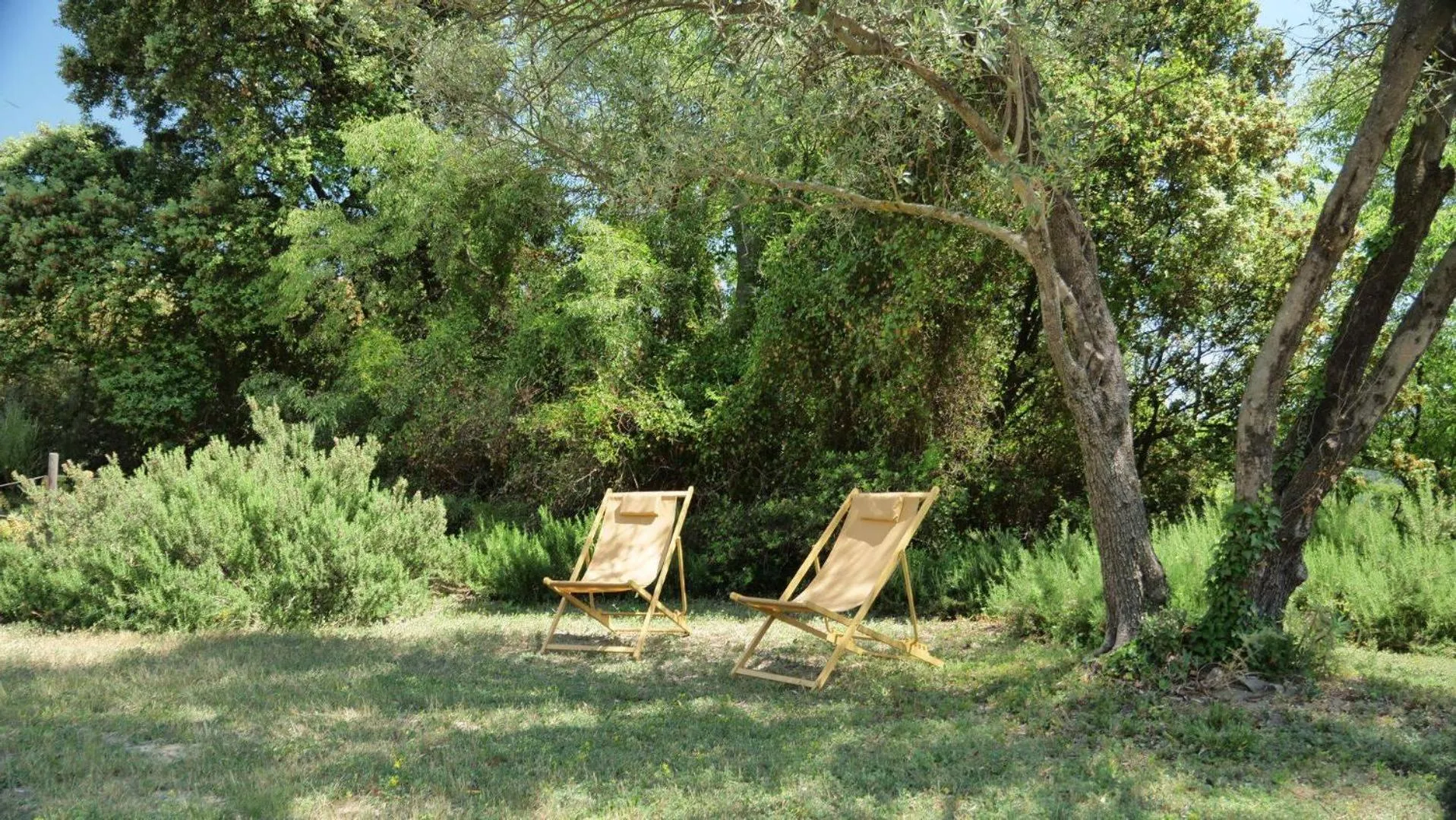 Garden view in Hôtel La Bastide de Vaison
