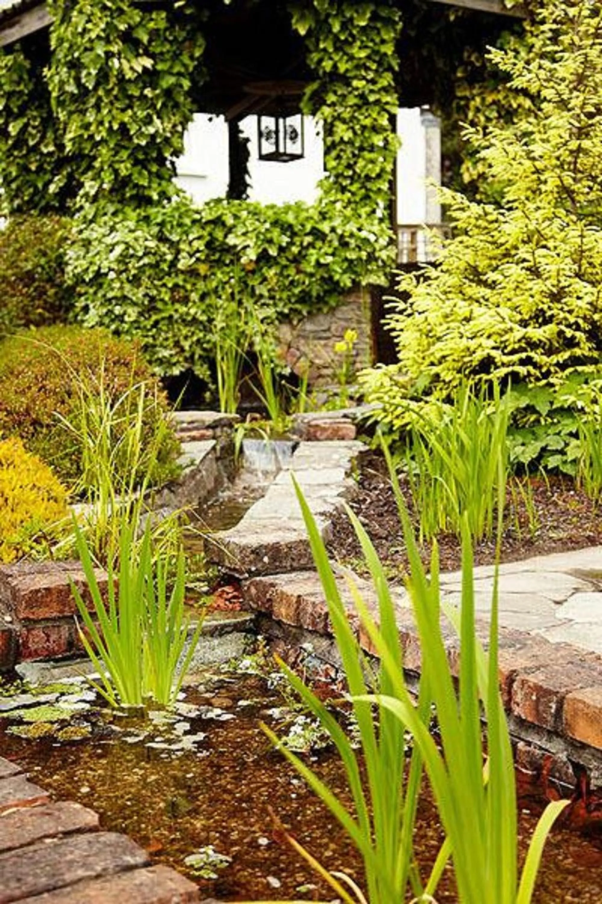 Garden in Belvedere Lodge