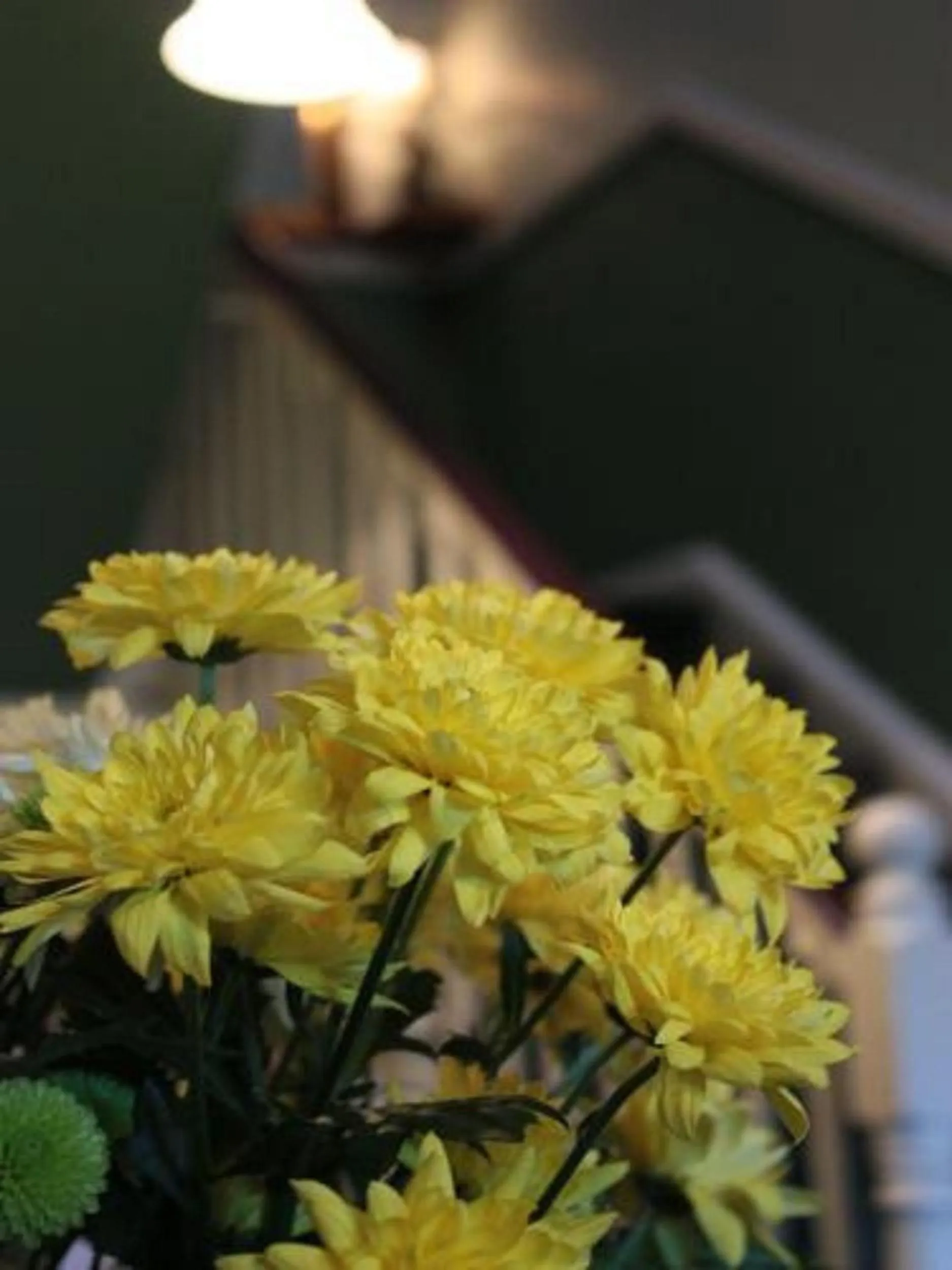 Decorative detail in Belvedere Lodge