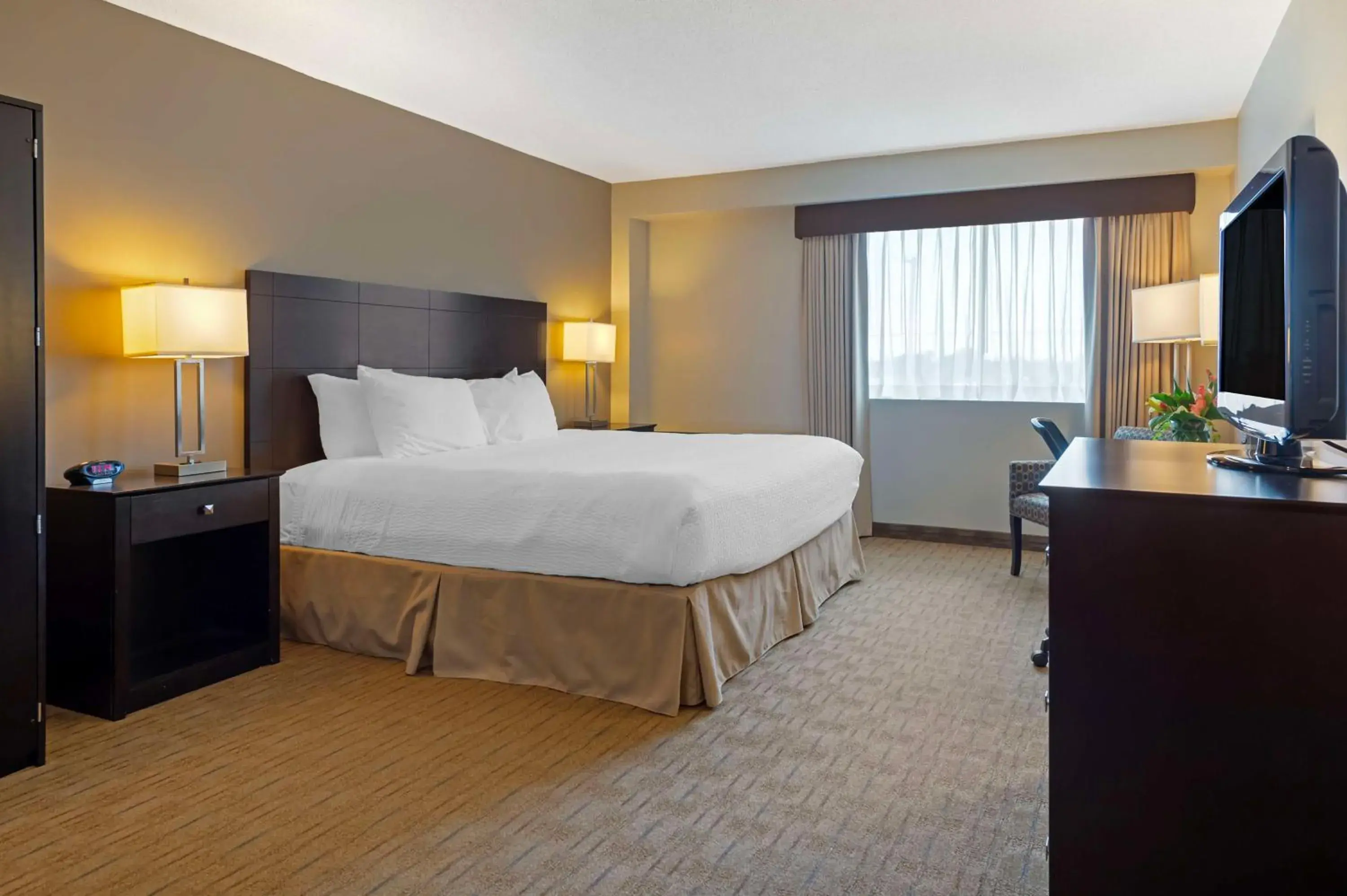 Bedroom, Bed in Best Western Pembroke Inn & Conference Centre Bedroom, Bed in Best Western Pembroke Inn & Conference Centre