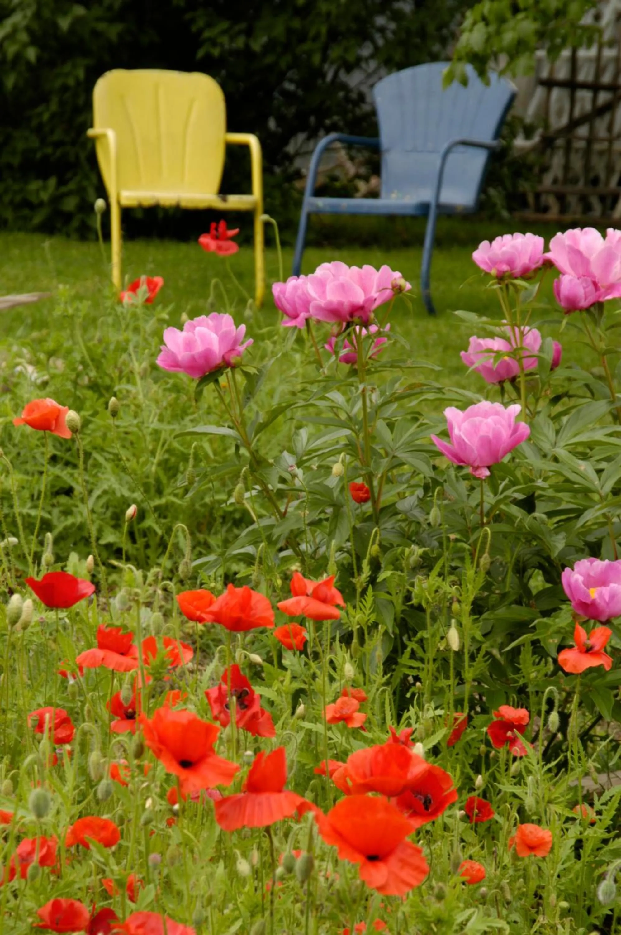 Garden view in Blue Mountain Mist Country Inn