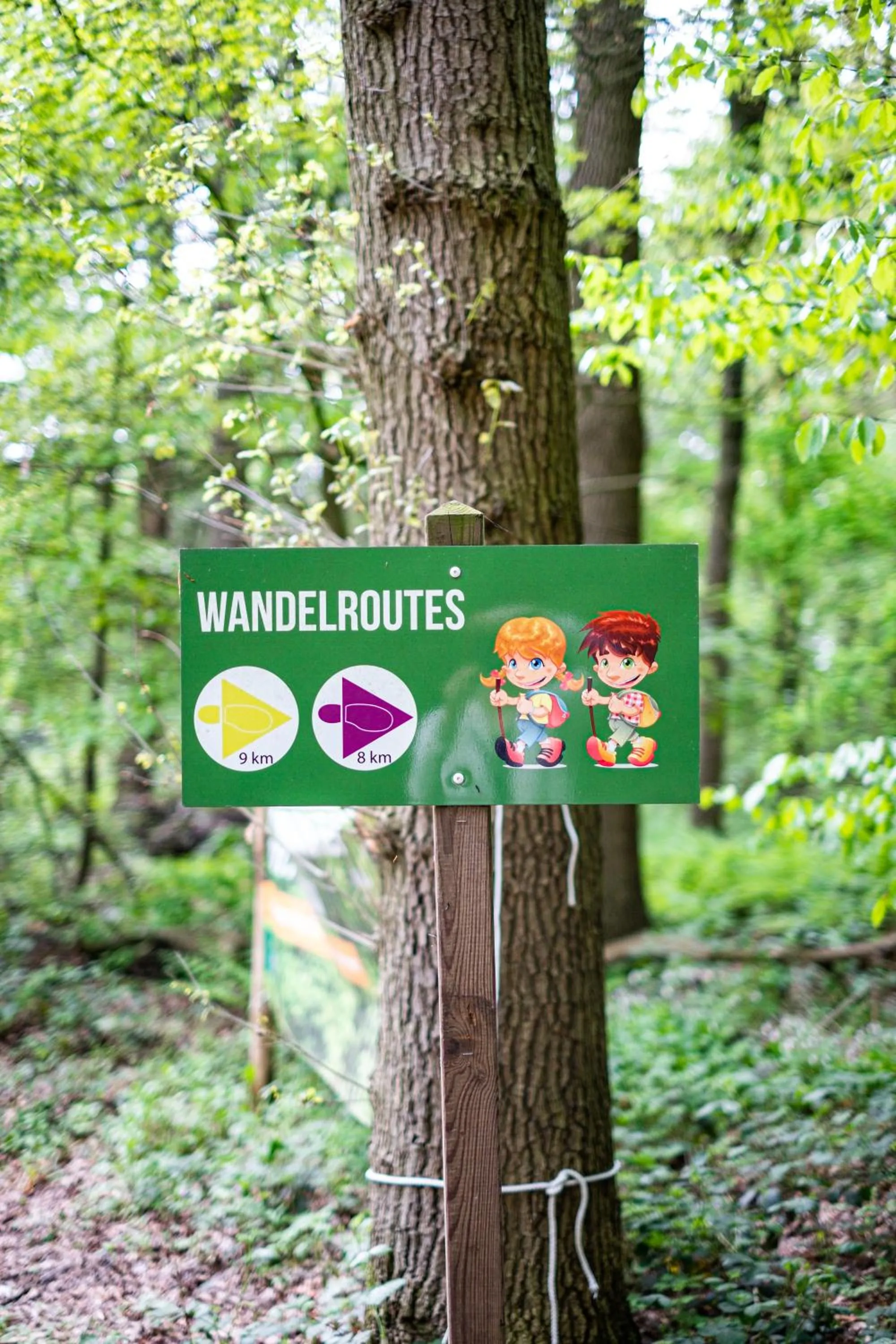 Activities in Landgoedhotel Woodbrooke Barchem