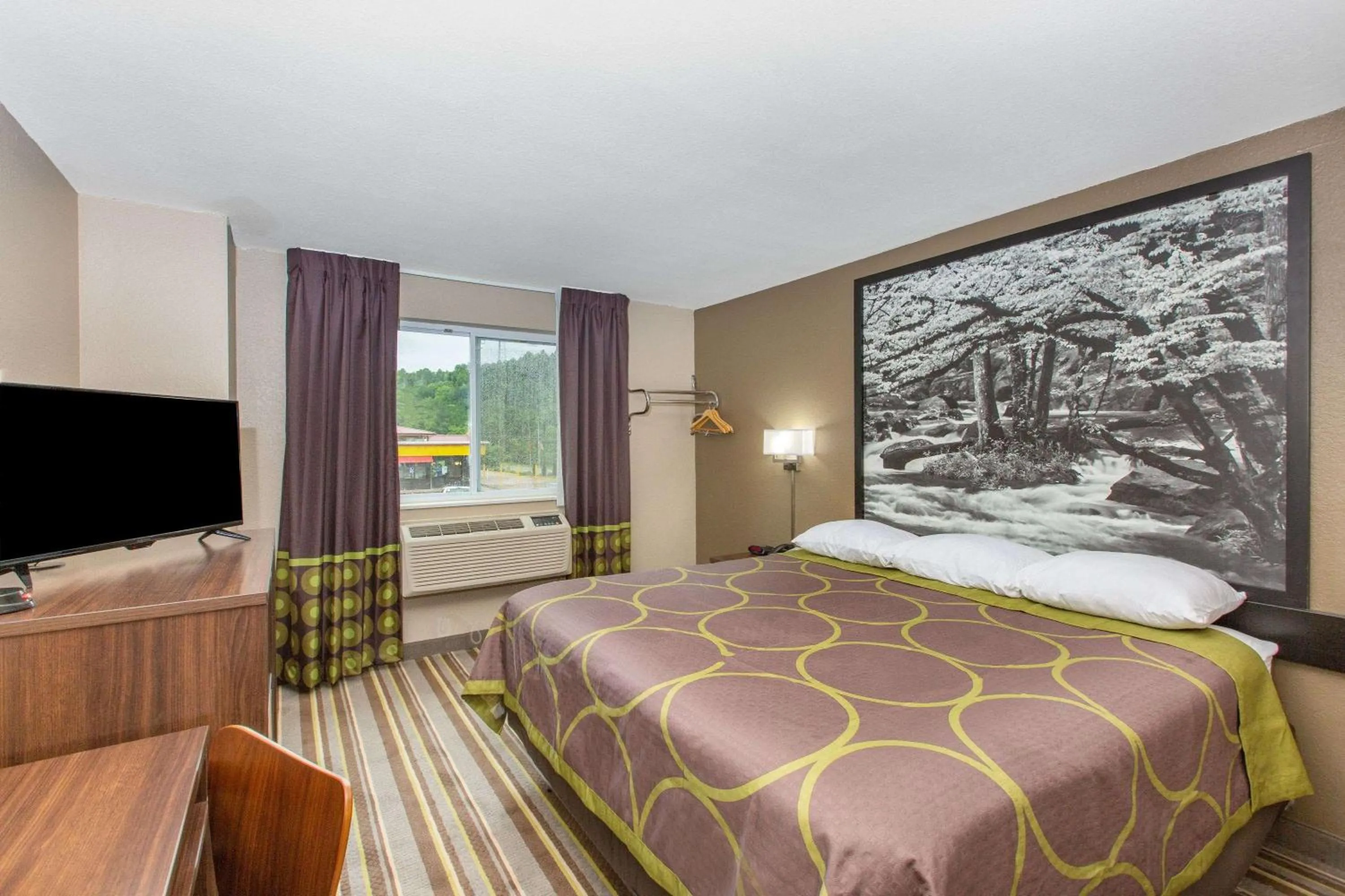Photo of the whole room, Bed in Super 8 by Wyndham Chattanooga Lookout Mountain TN