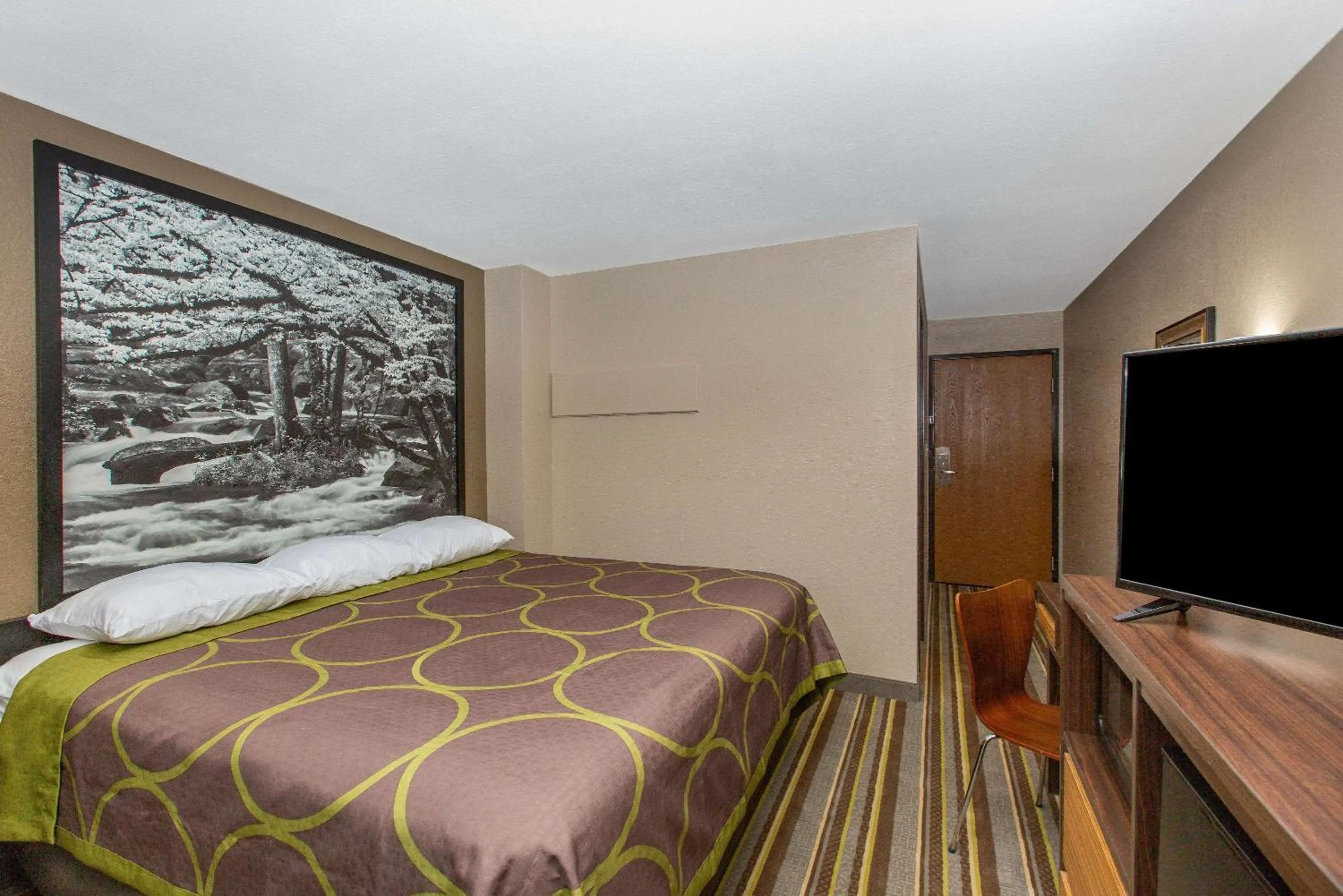 Photo of the whole room, Bed in Super 8 by Wyndham Chattanooga Lookout Mountain TN