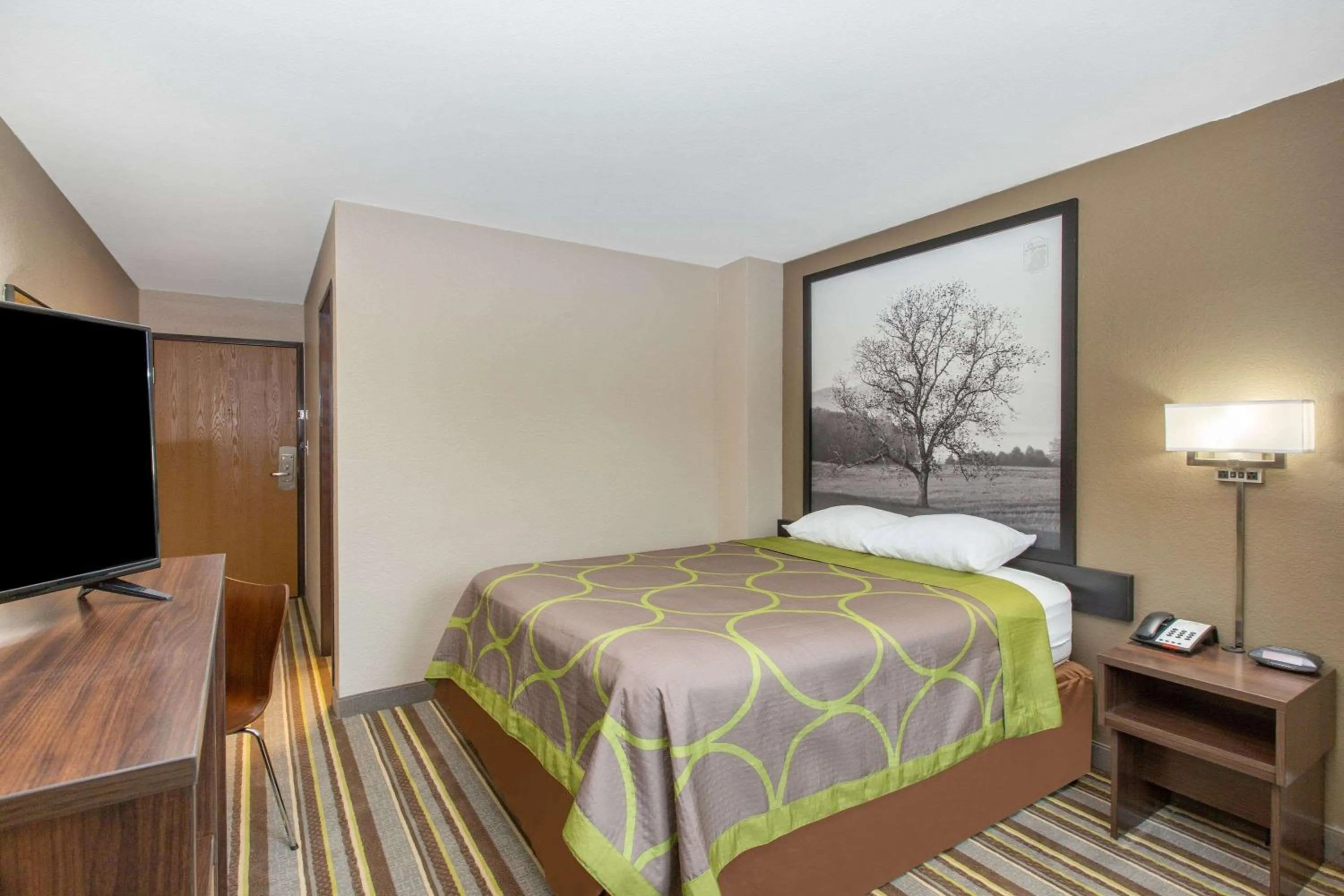 Photo of the whole room, Bed in Super 8 by Wyndham Chattanooga Lookout Mountain TN