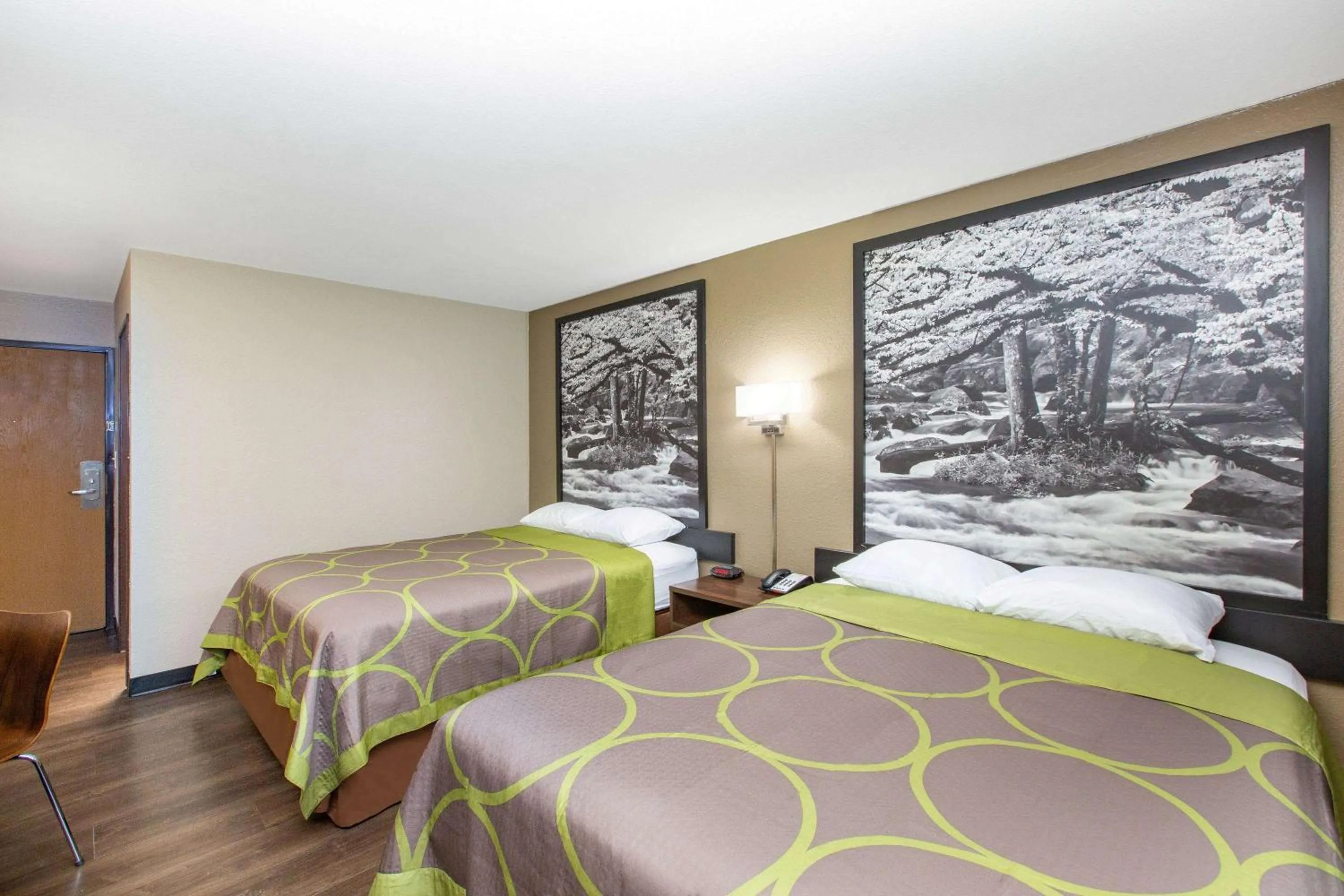 Photo of the whole room, Bed in Super 8 by Wyndham Chattanooga Lookout Mountain TN