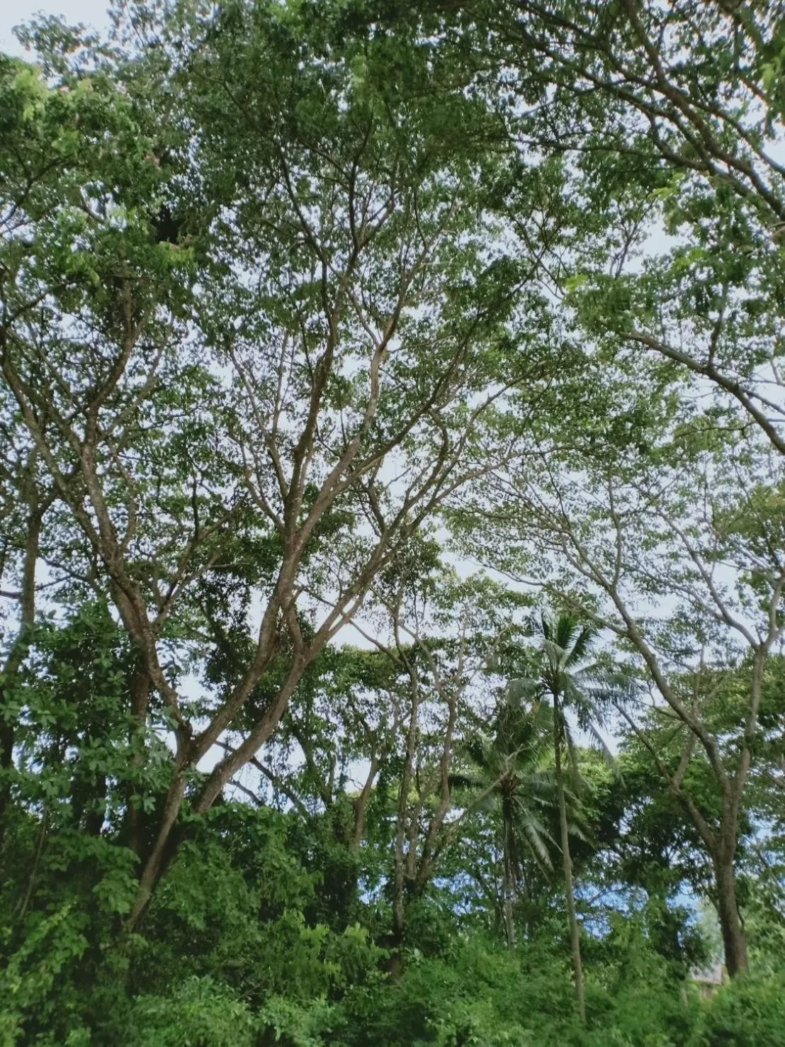 BAAN9NAN Guest Home in Nan City