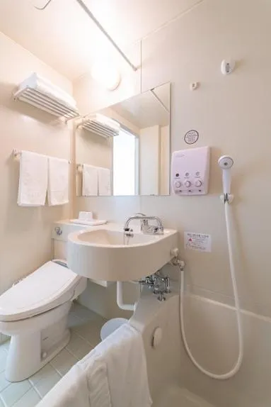 Shower in Toyoko Inn Seoul Dongdaemun II