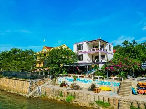 Funny Monkeys Homestay Funny Monkeys Homestay