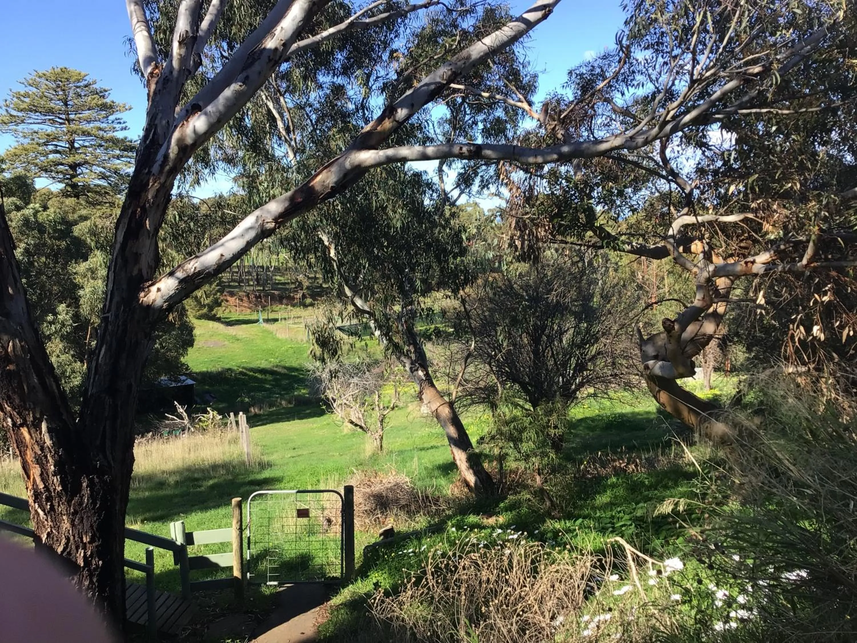 Port Elliot rural retreat