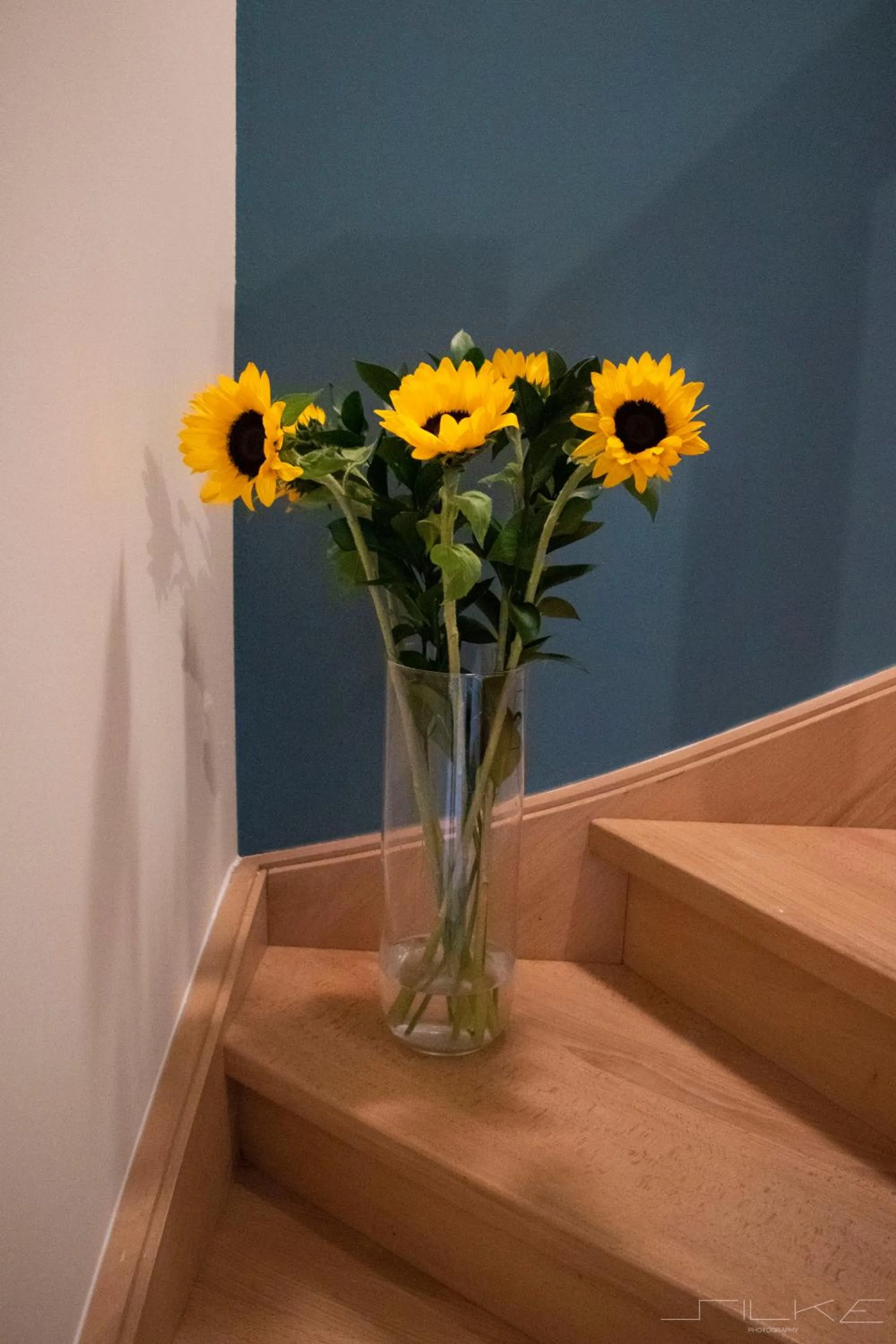 Property building in De Loteling