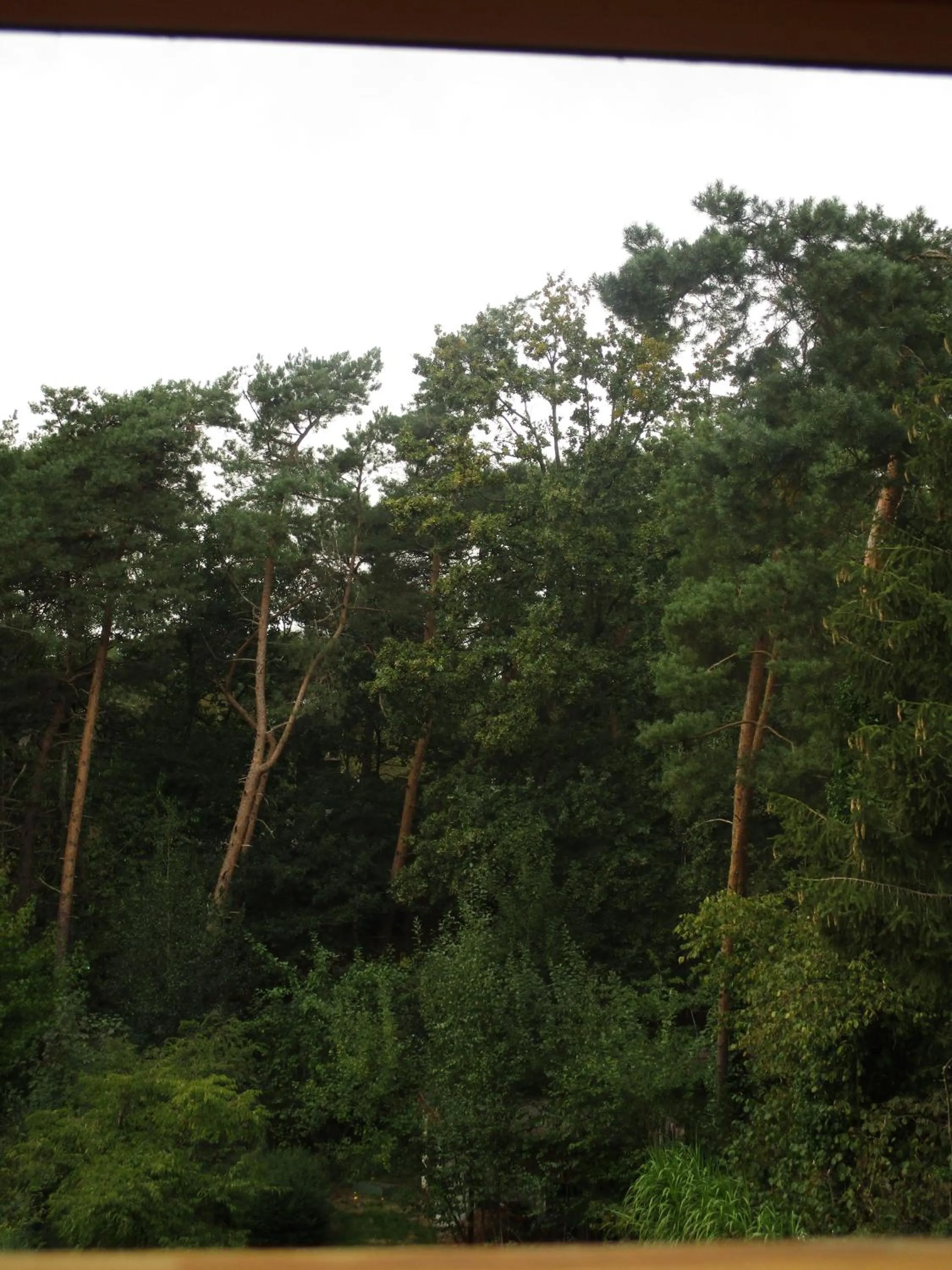 Property building in De Loteling