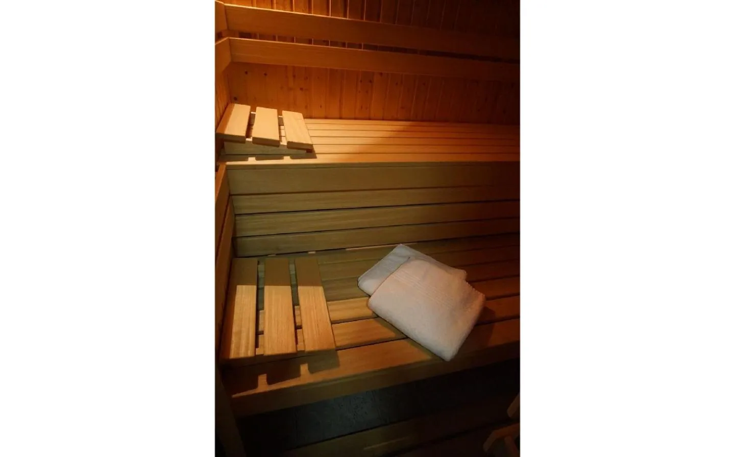 Spa and wellness centre/facilities in De Loteling