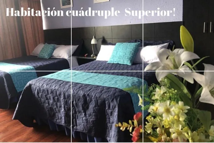Hostal Alua Rio