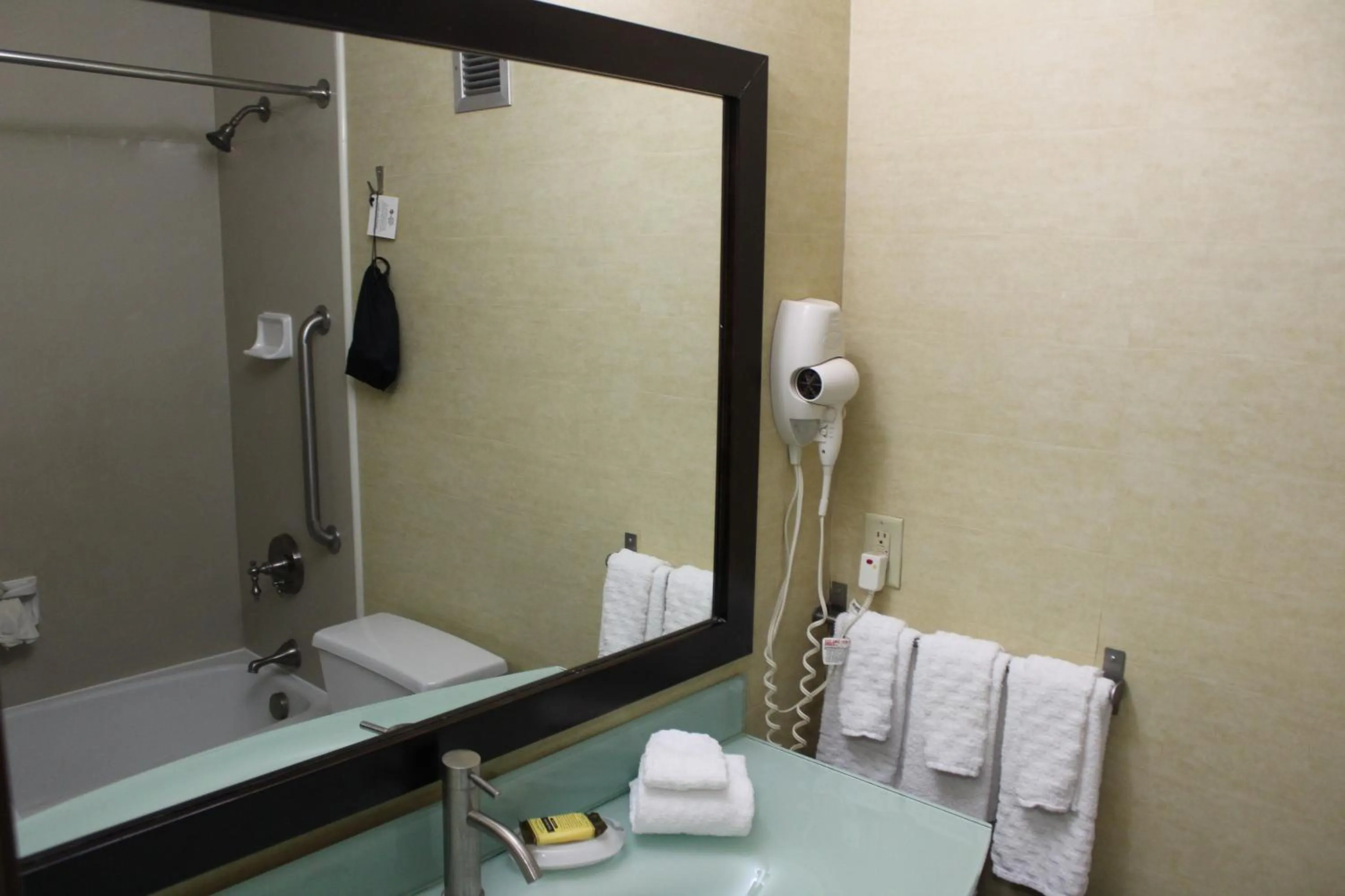 Bathroom in Best Western Plus Portage Hotel and Suites