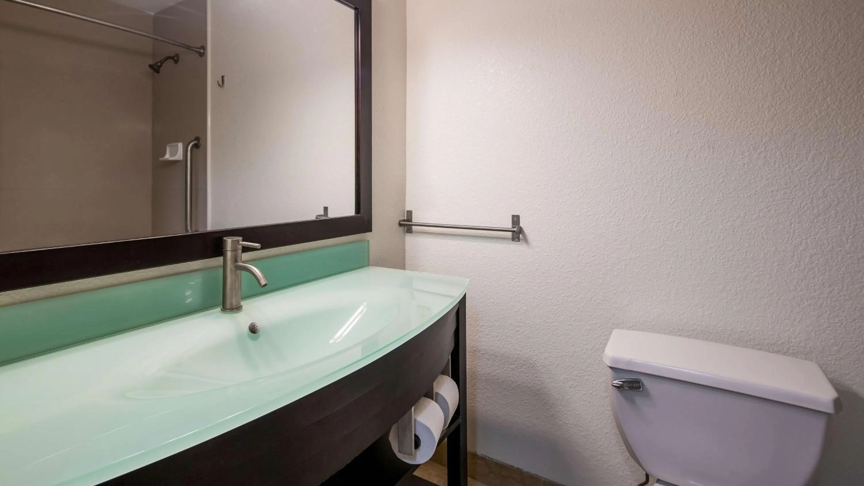 Bathroom in Best Western Plus Portage Hotel and Suites
