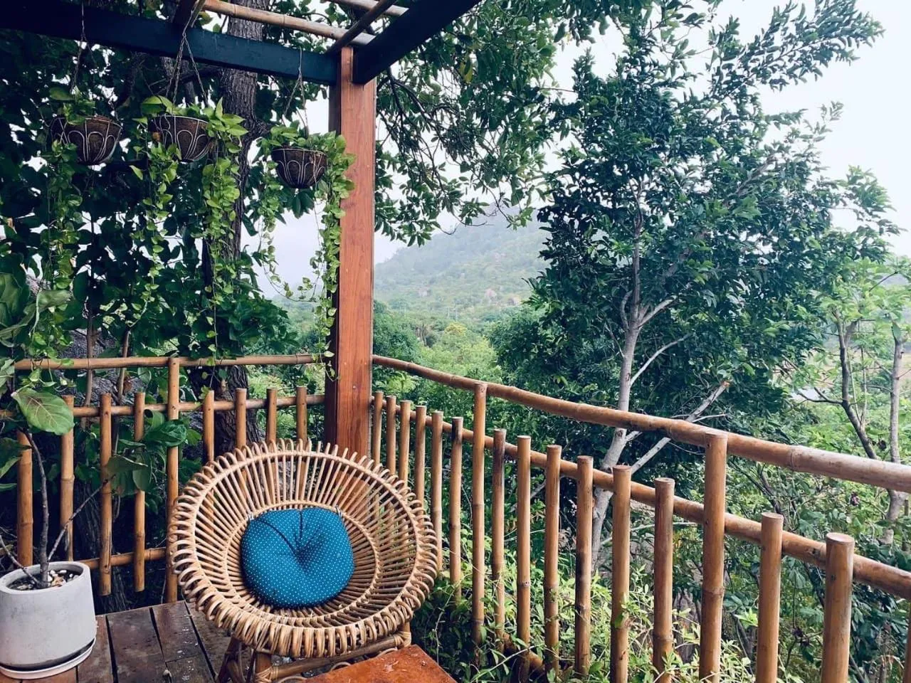 View (from property/room) in Escalade Experience