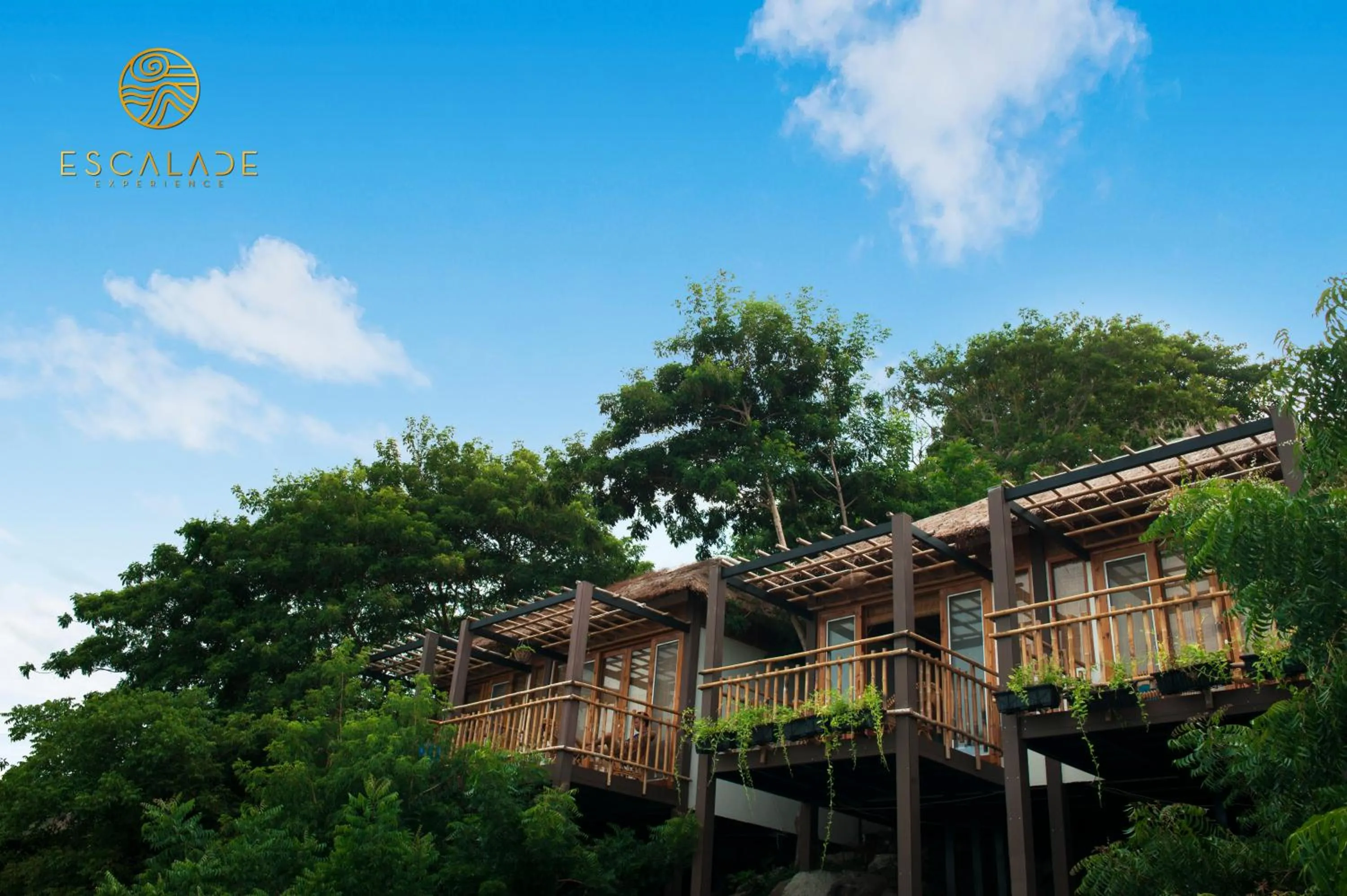 Property building in Escalade Experience