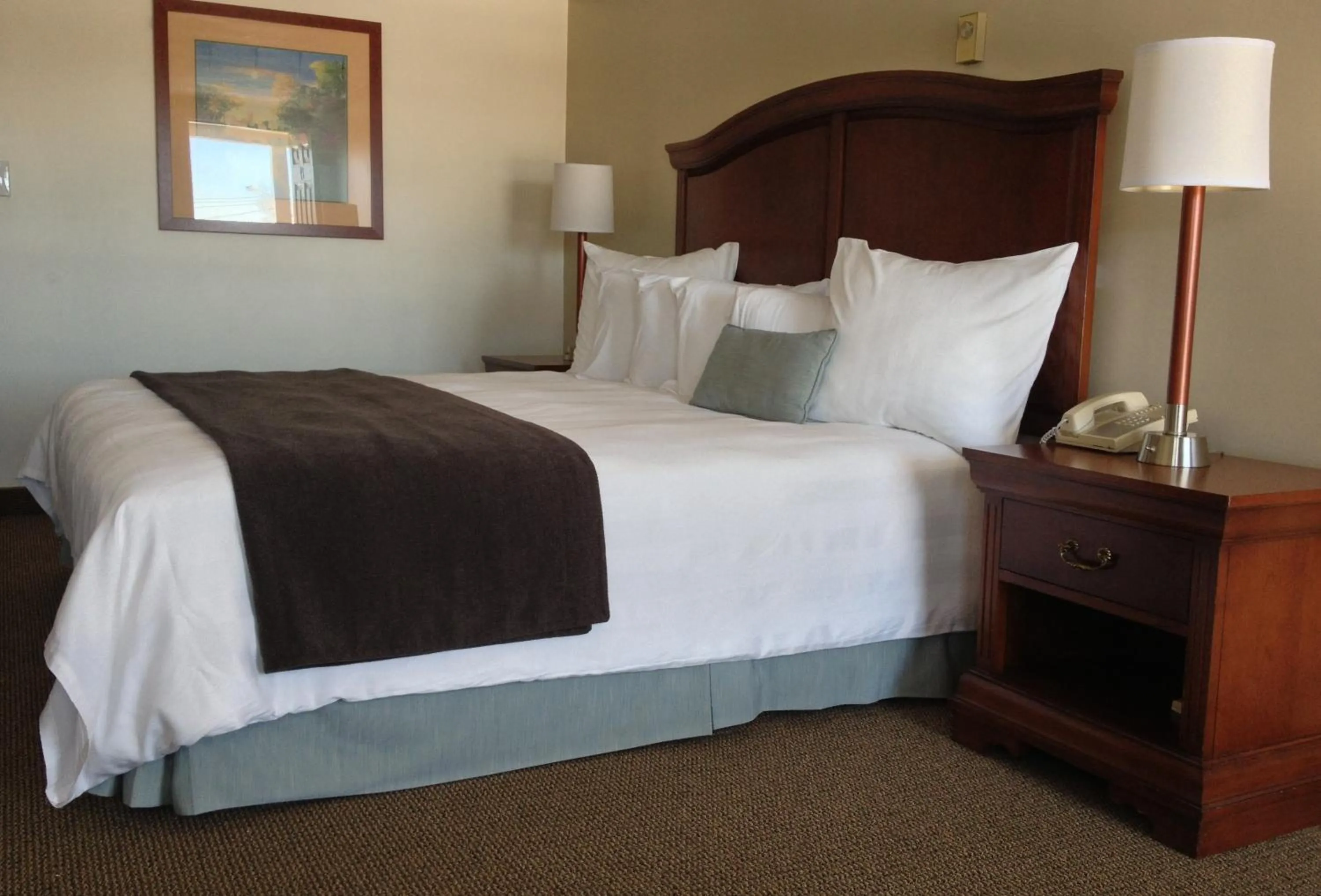 Bed in Holiday Hill Inn & Suites