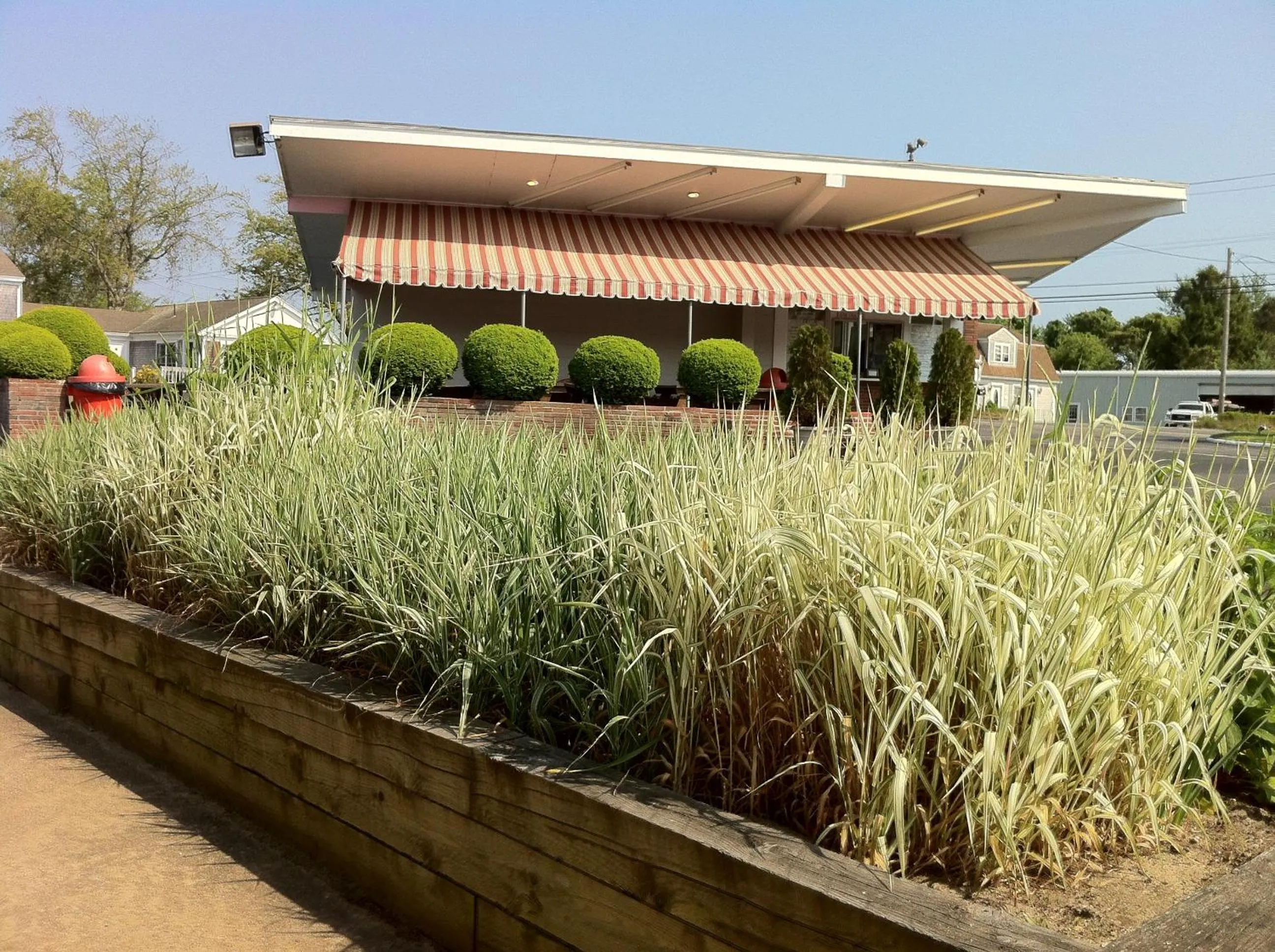 Food and drinks in Holiday Hill Inn & Suites